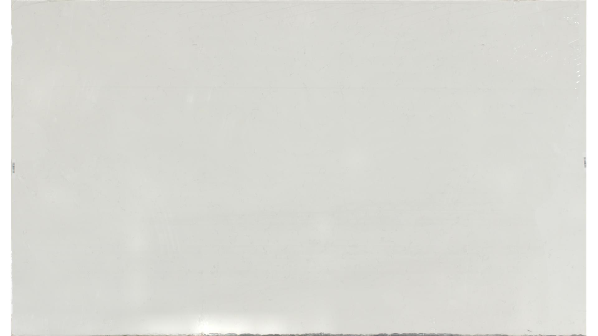 CARRARA PISA QUARTZ Slabs