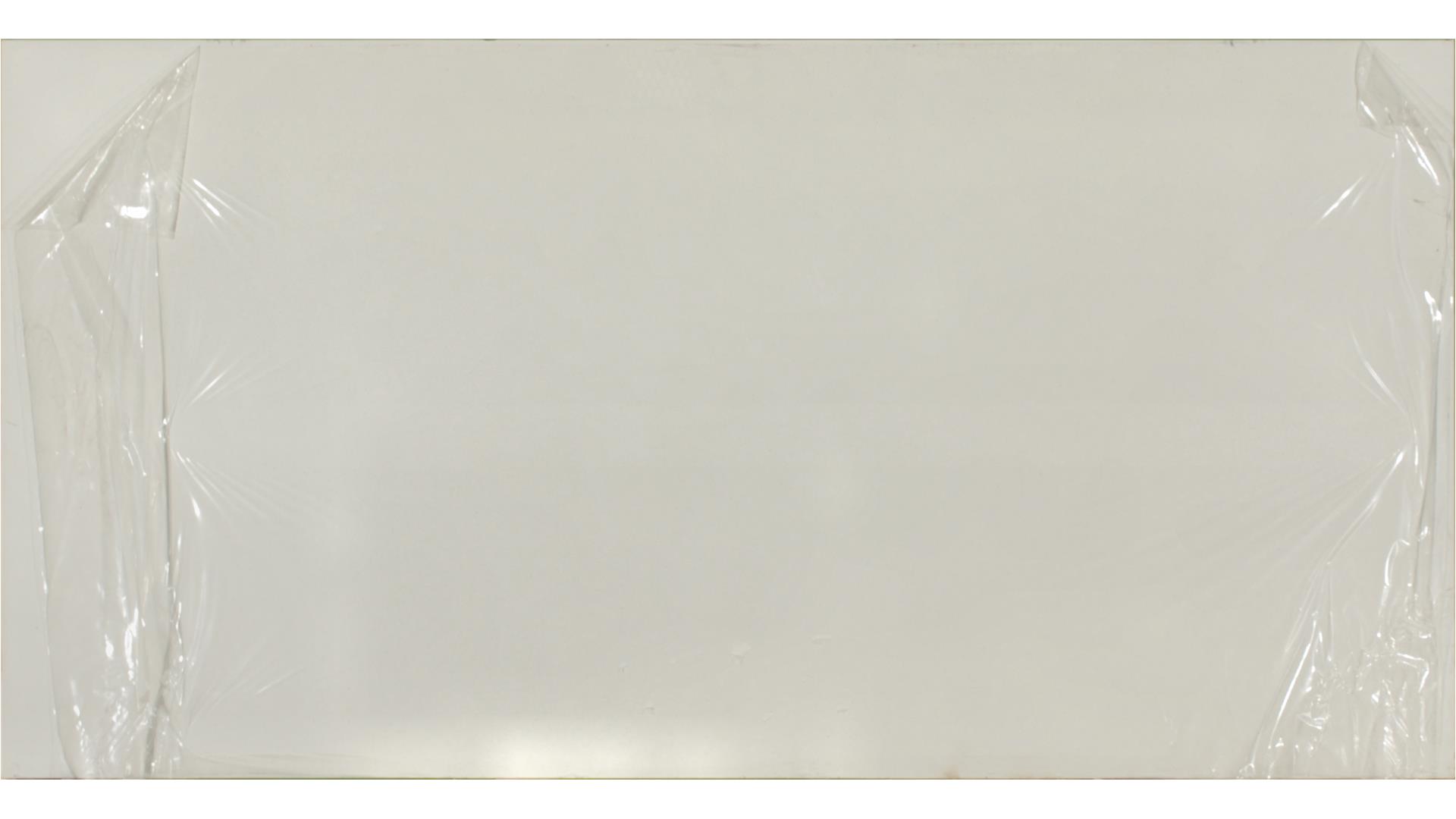 Frost White QUARTZ Slabs