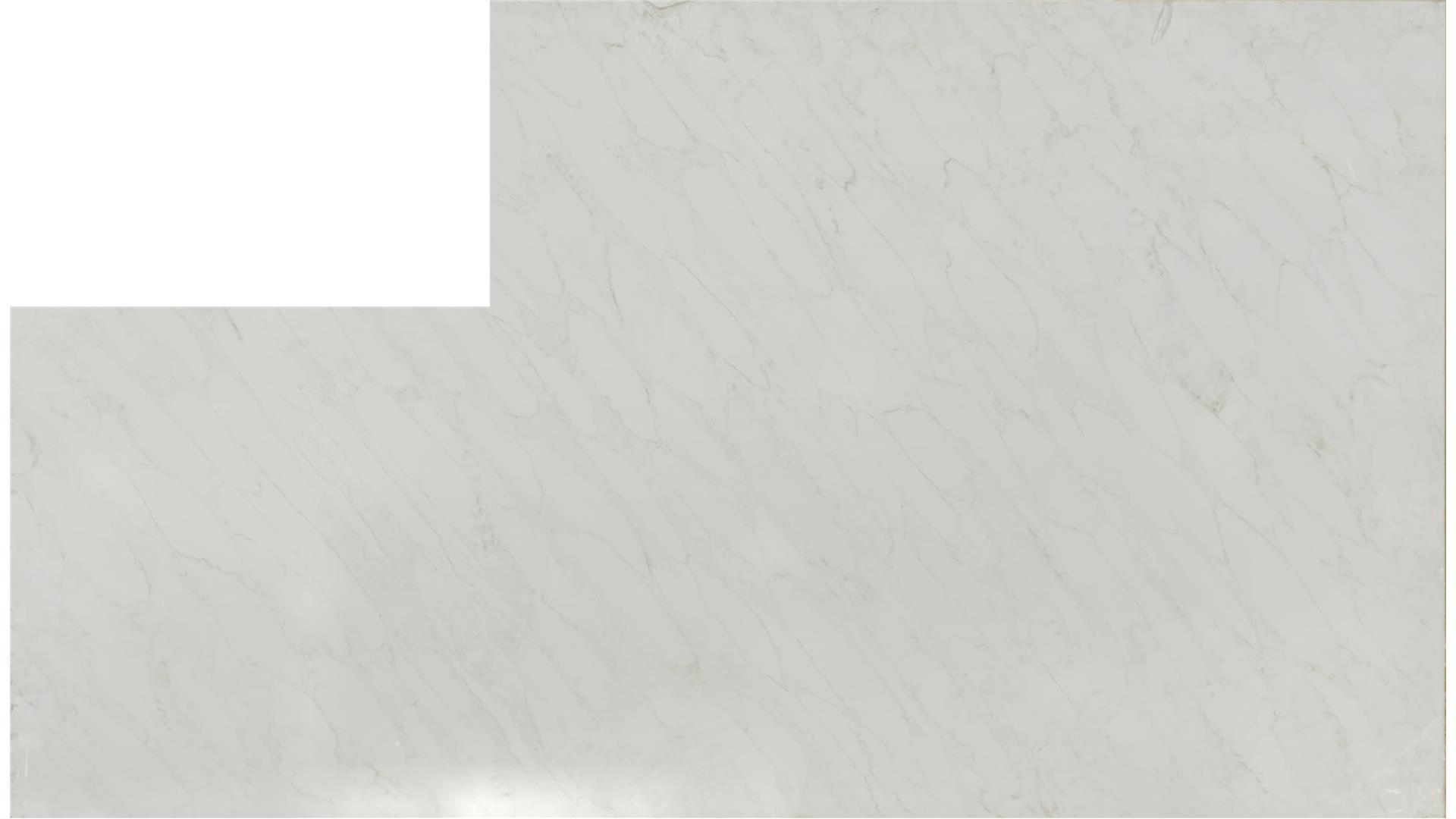 Calacatta Premata QUARTZ Slabs