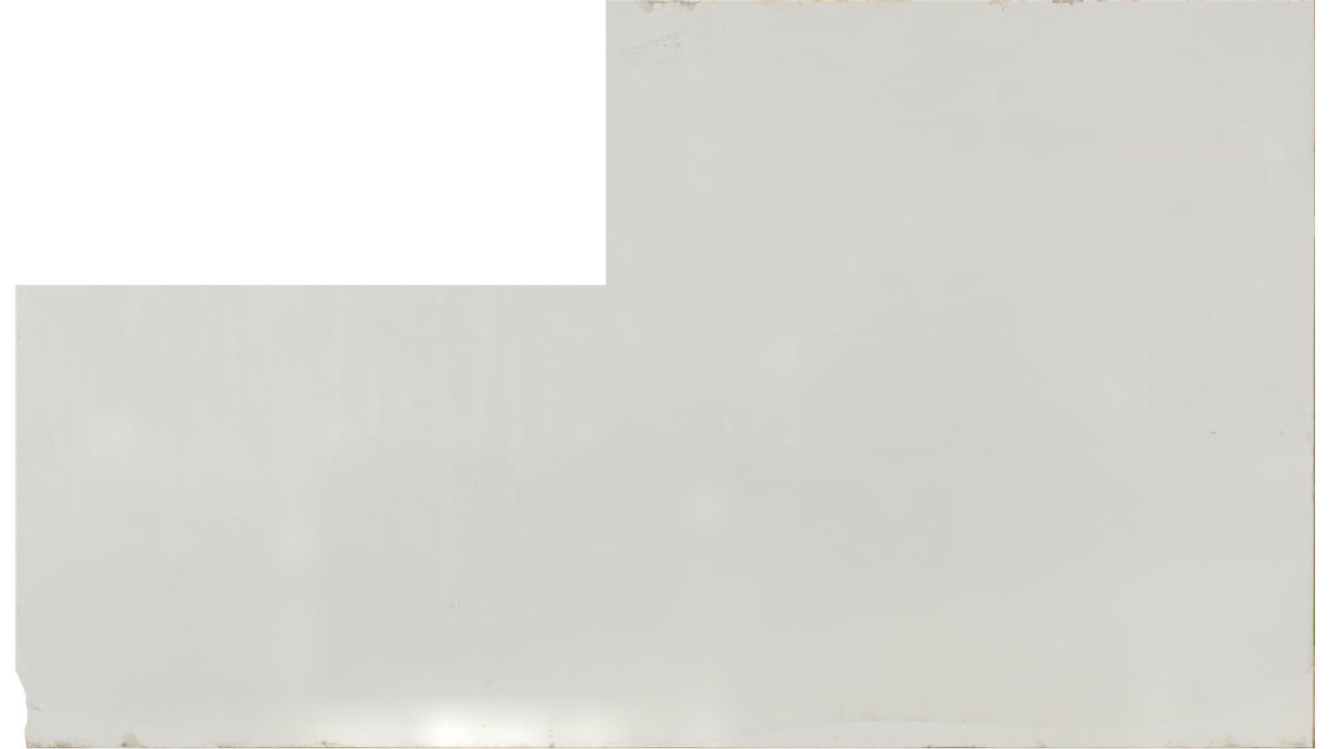 Arctic White QUARTZ Slabs