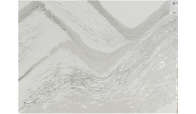 Southport QUARTZ