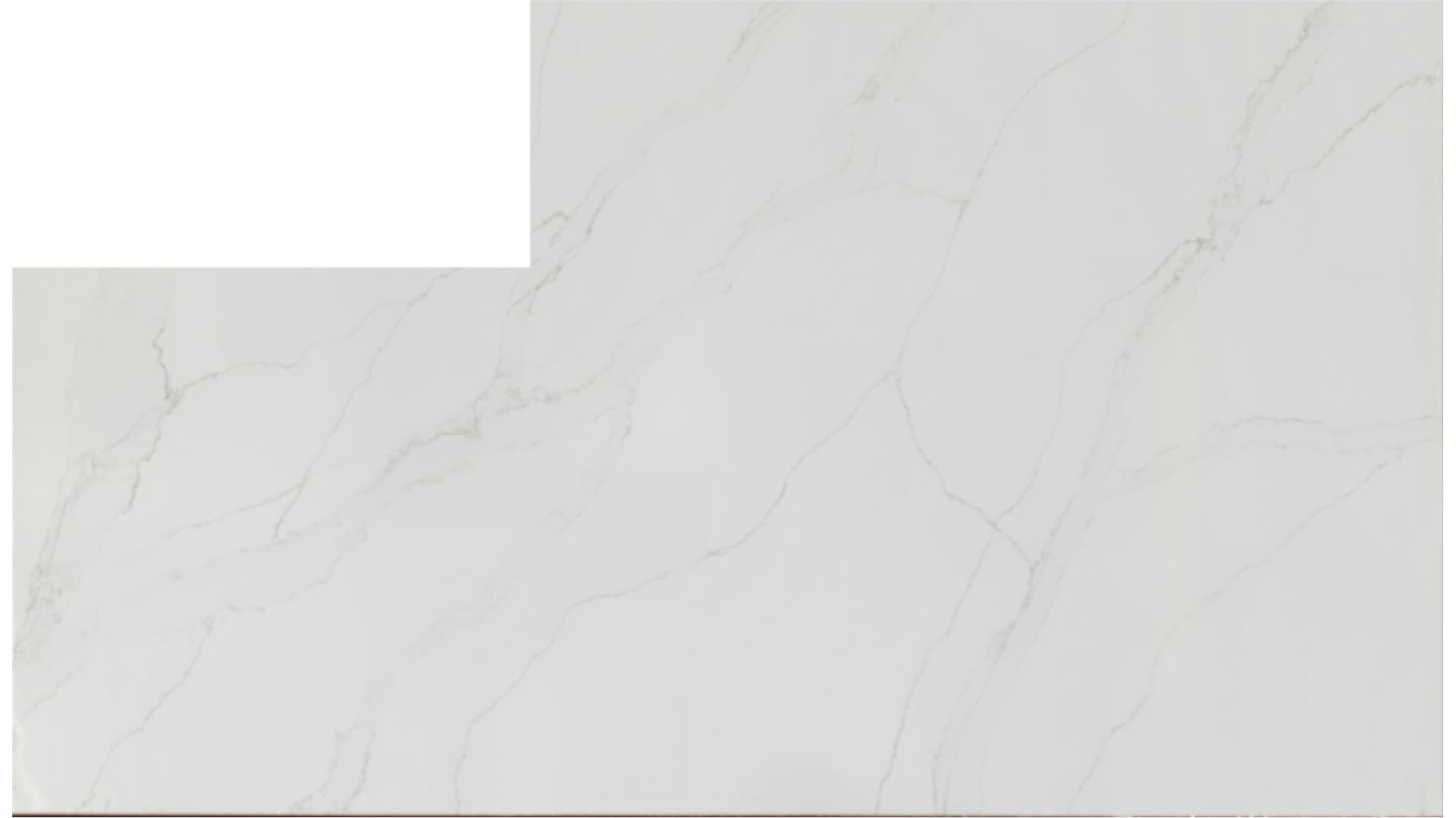 Calacatta Izaro QUARTZ Slabs