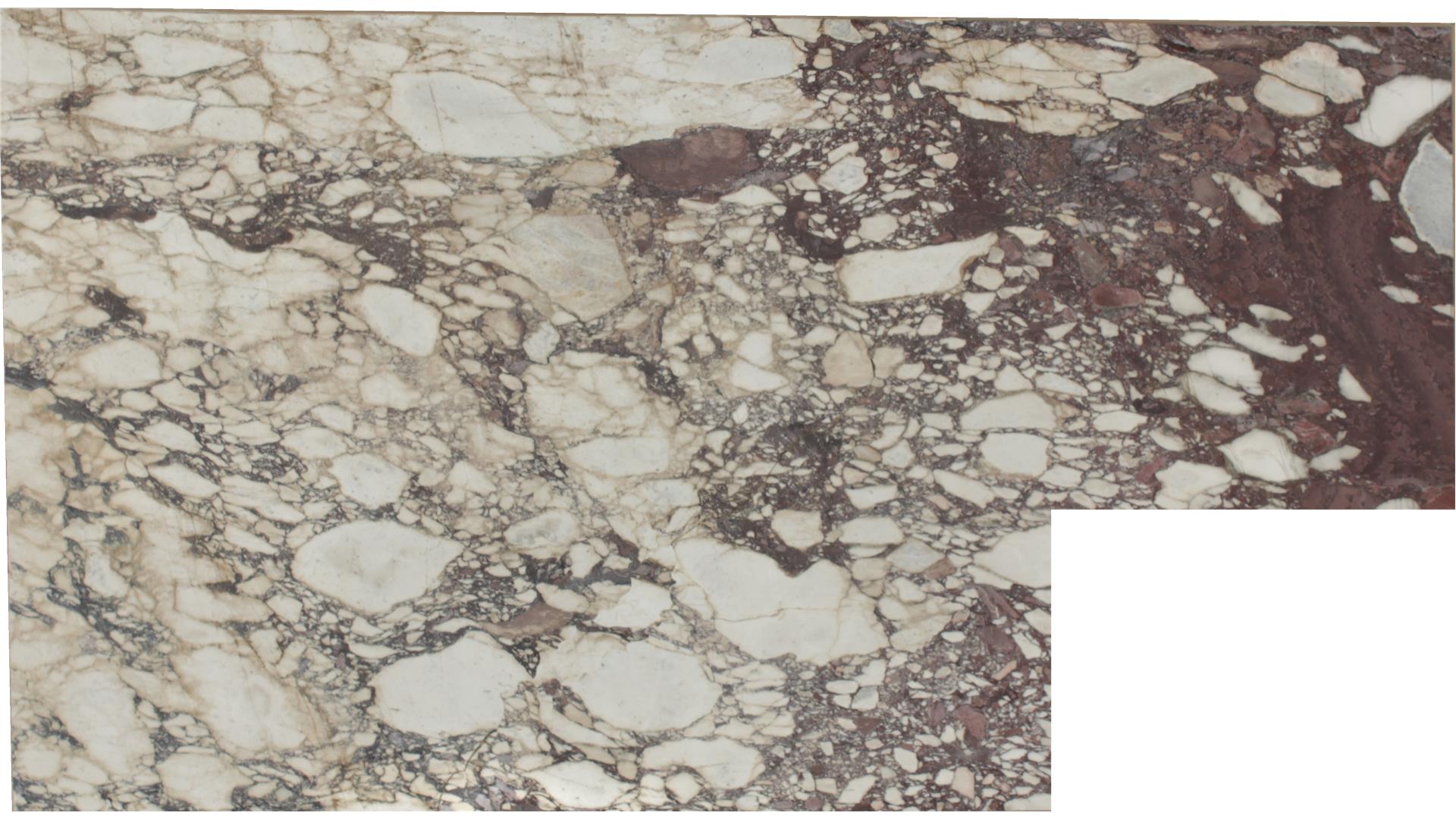 calacatta viola MARBLE Slabs