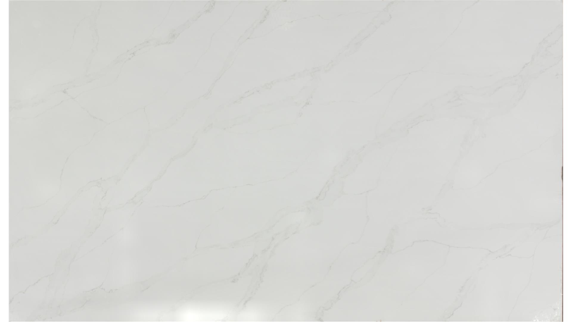 Calacatta Izaro QUARTZ Slabs