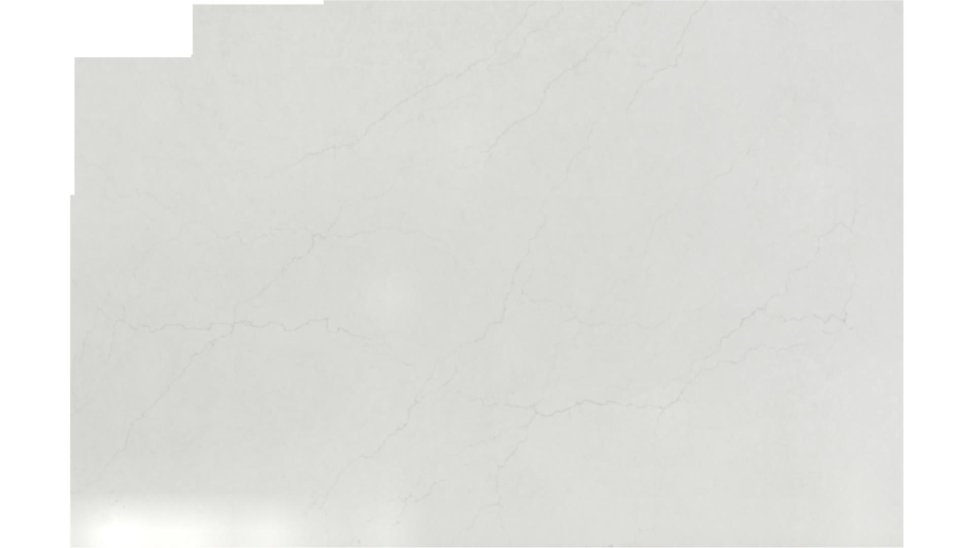 Calacatta Miraggio Cove QUARTZ Slabs