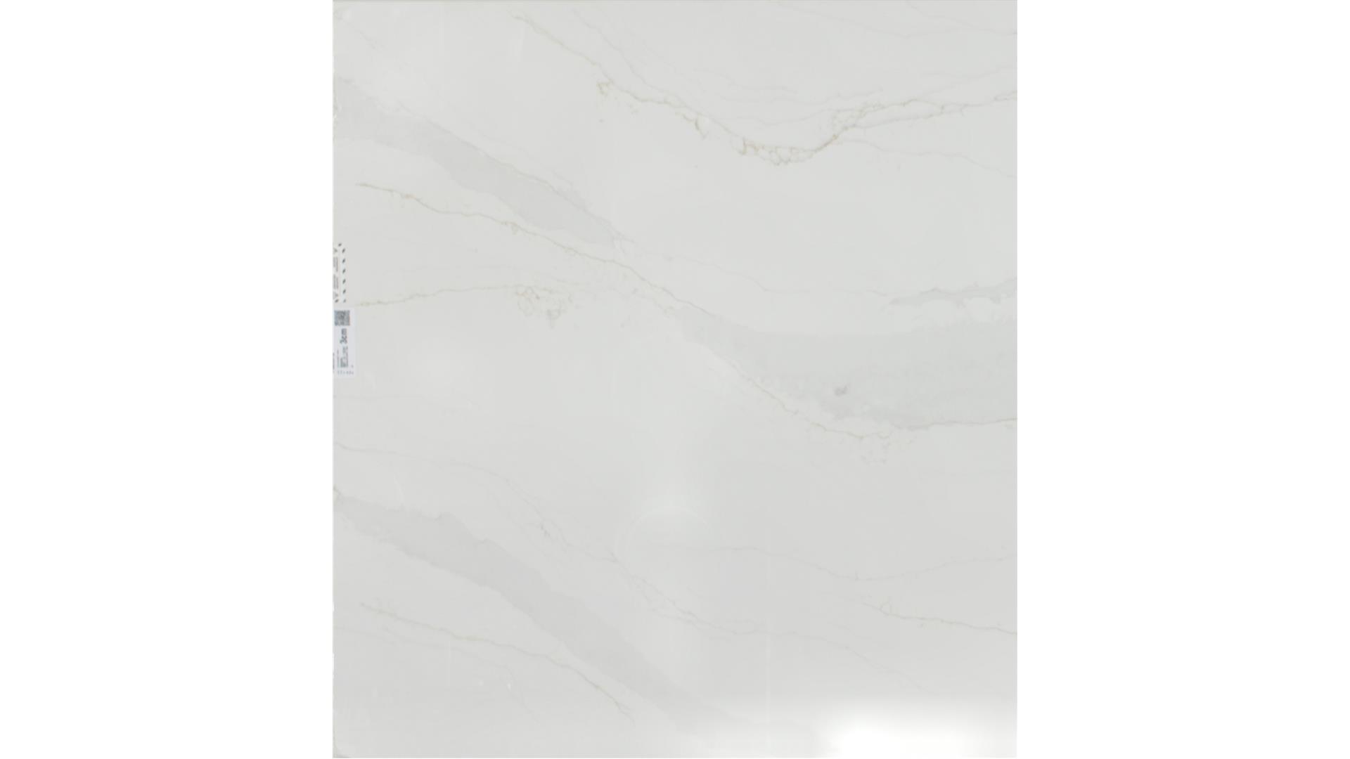 Splendor  QUARTZ Slabs