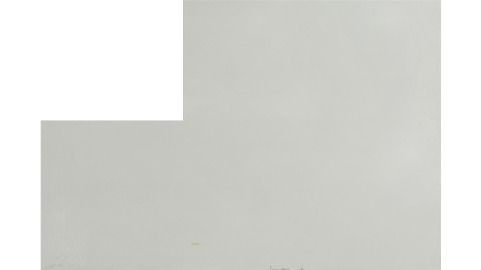 Arctic White QUARTZ Slabs