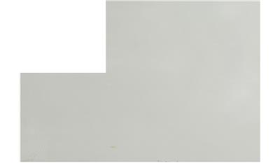 Arctic White QUARTZ