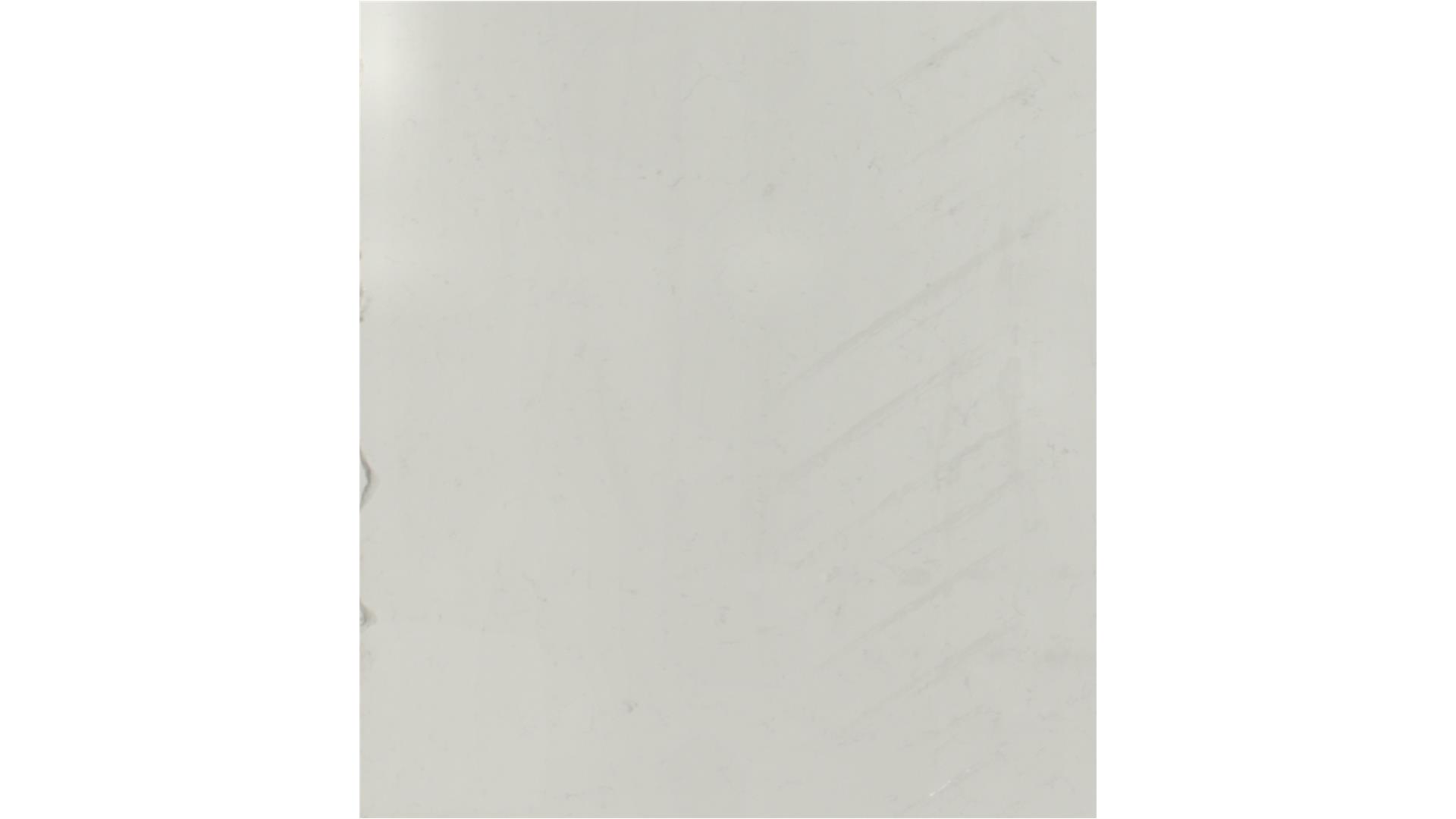 CARRARA PISA QUARTZ Slabs