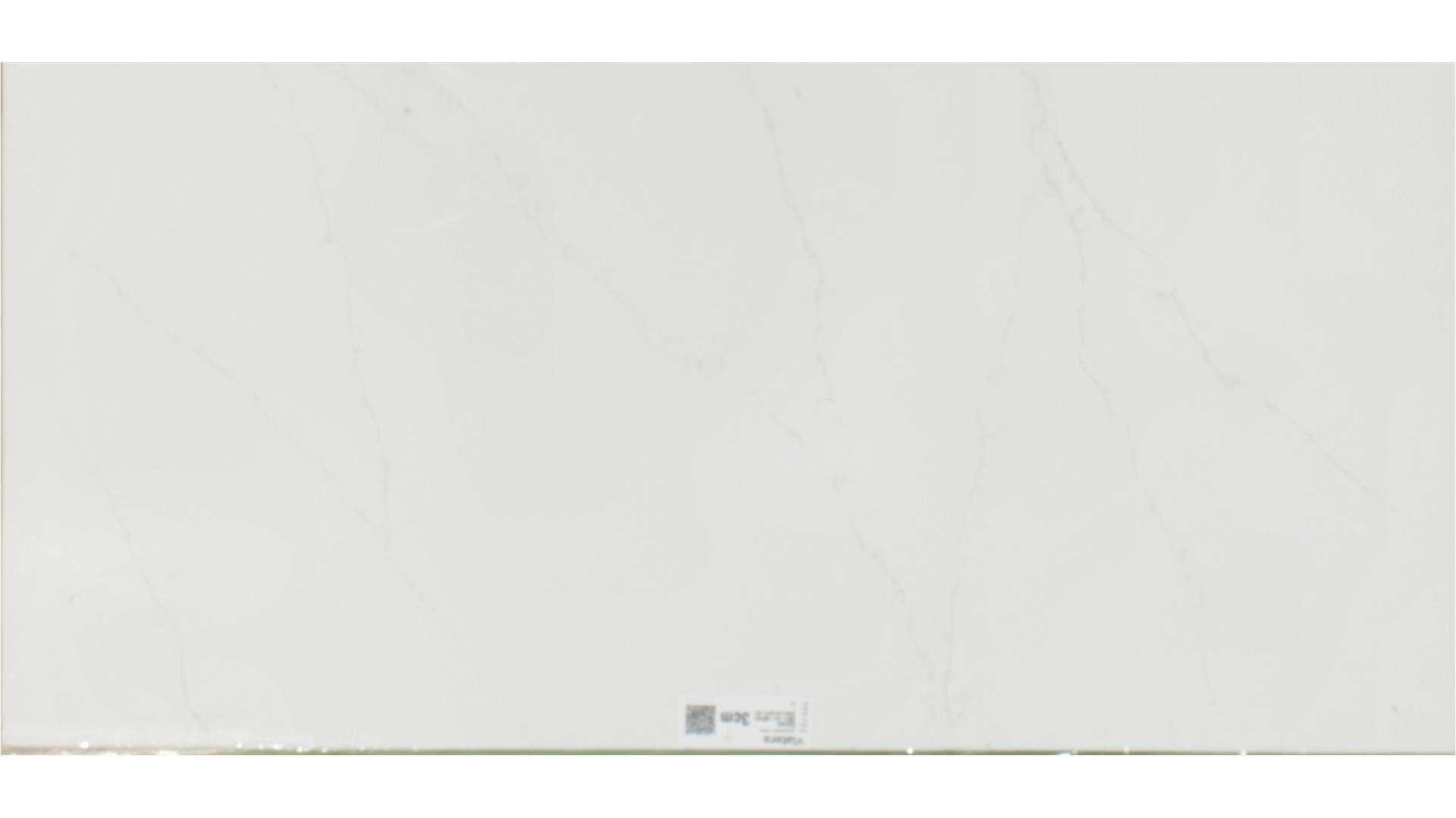 Delicato  QUARTZ Slabs