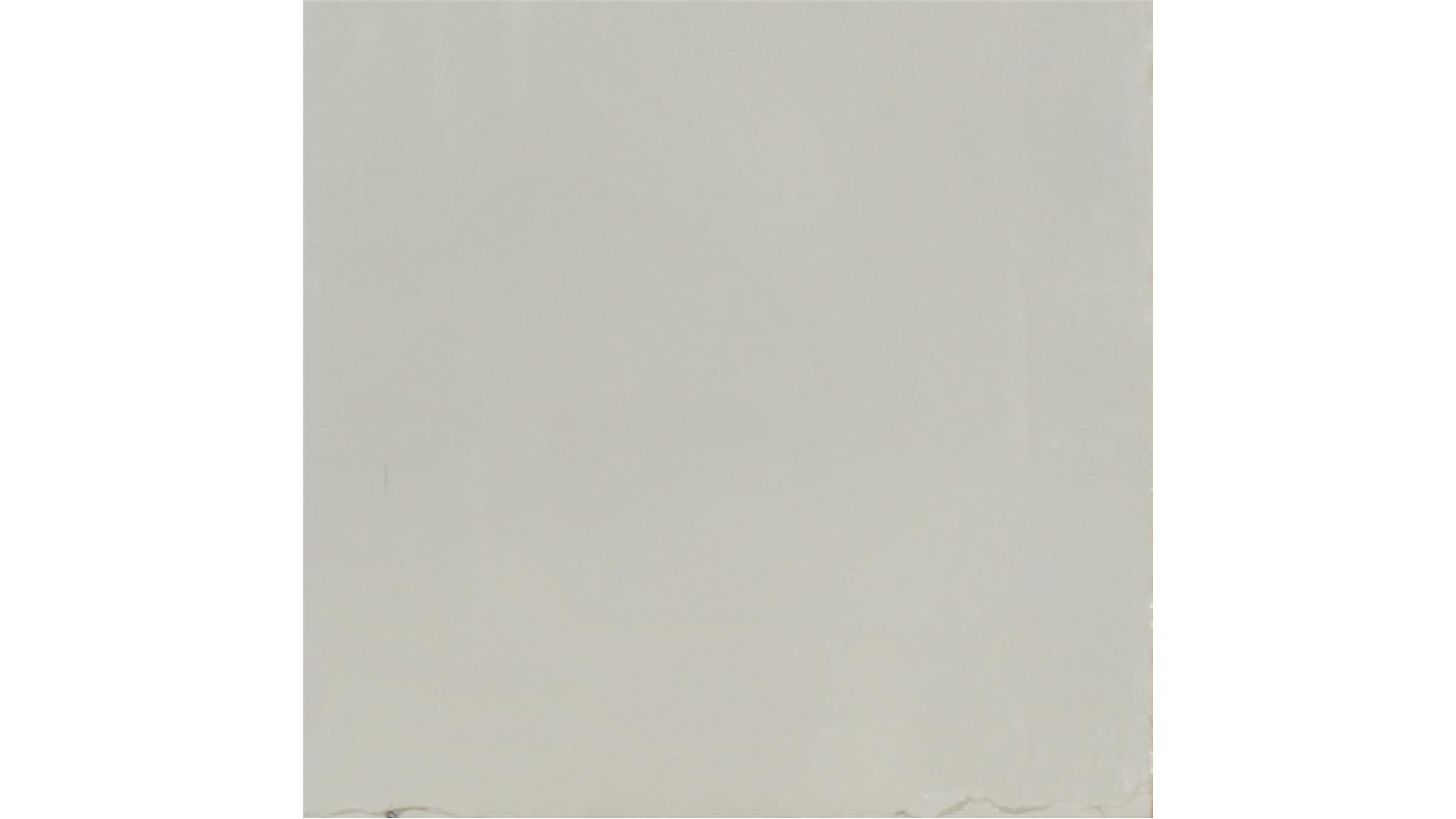 Snow White QUARTZ Slabs