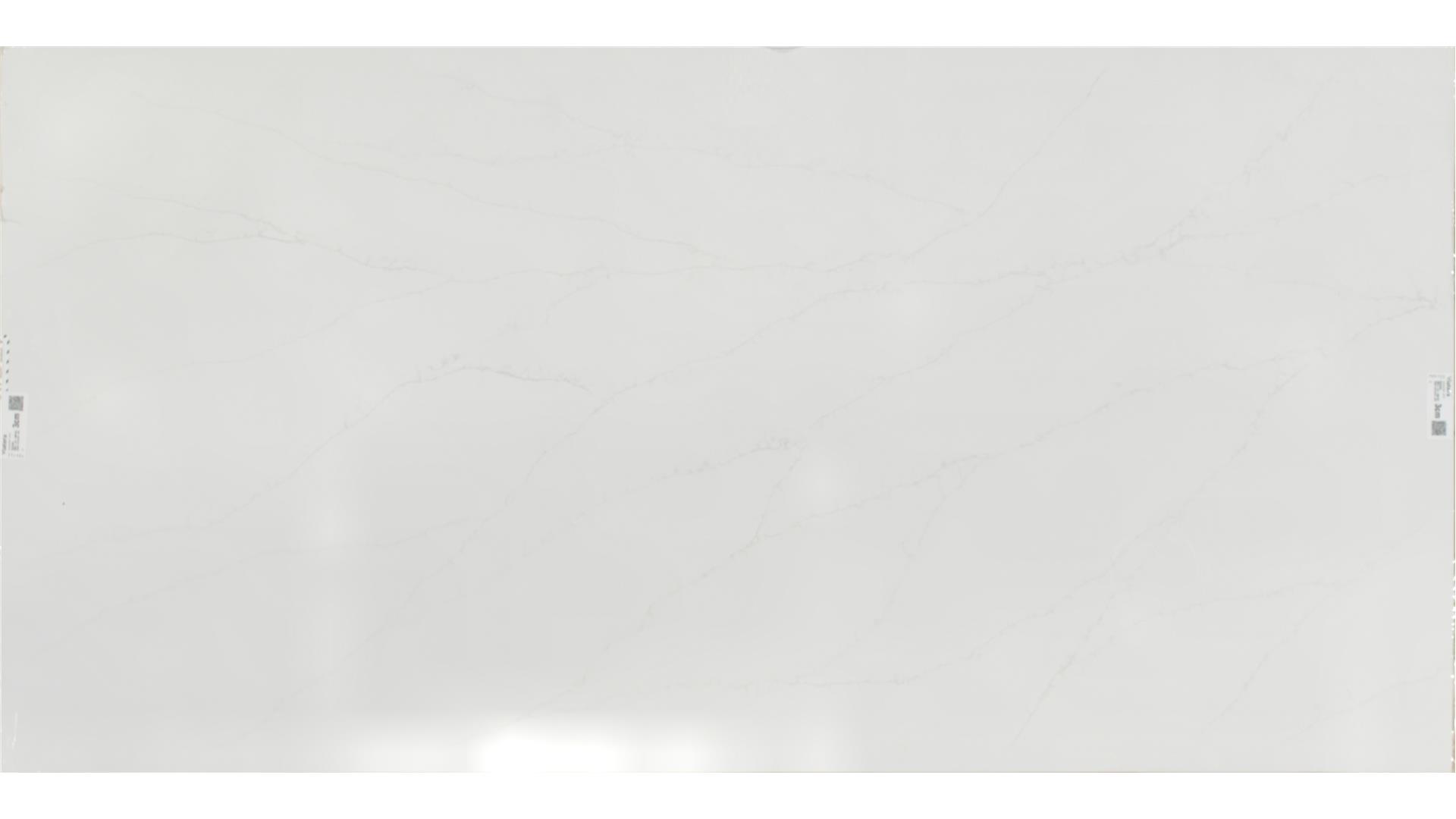 Delicato  QUARTZ Slabs