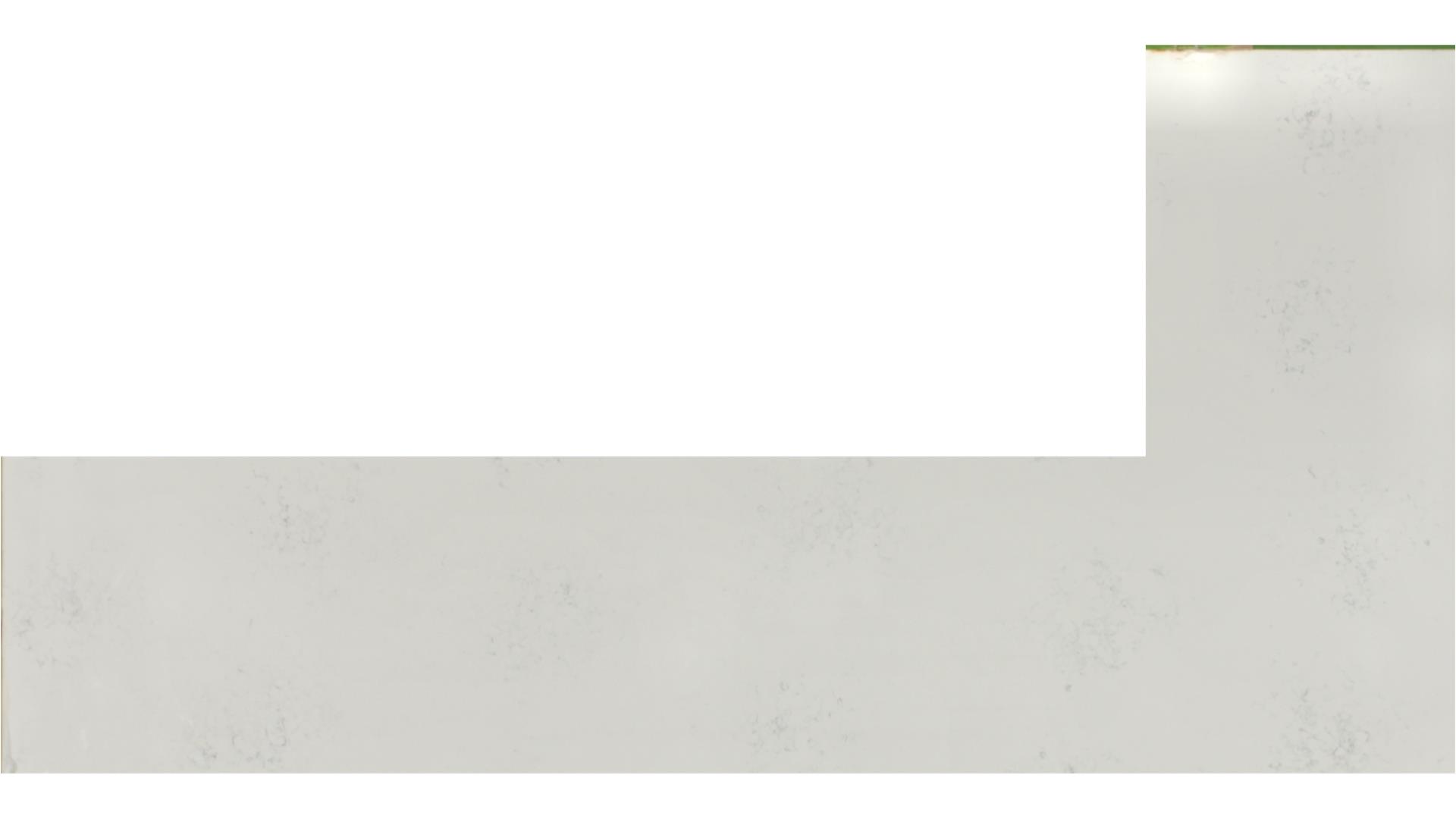 Carrara Marmi QUARTZ Slabs