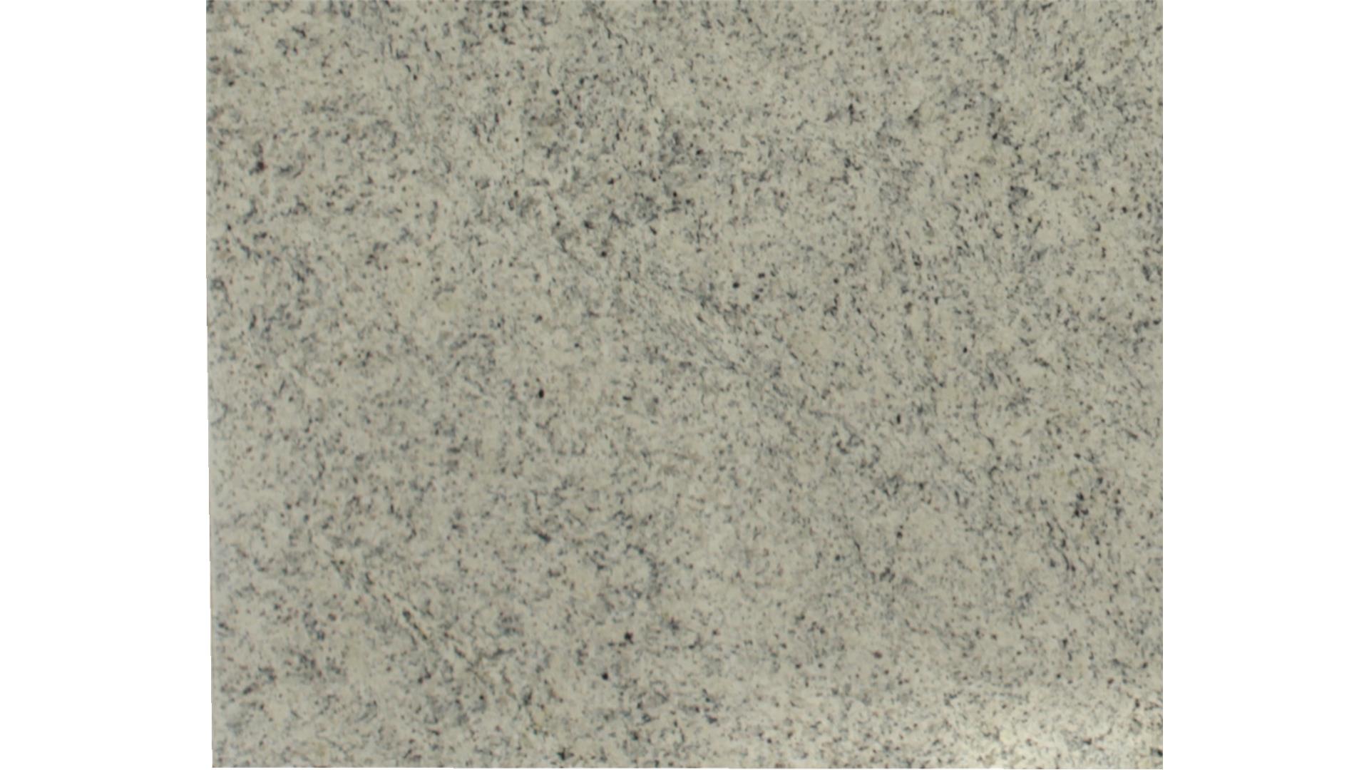 Dallas White GRANITE Slabs