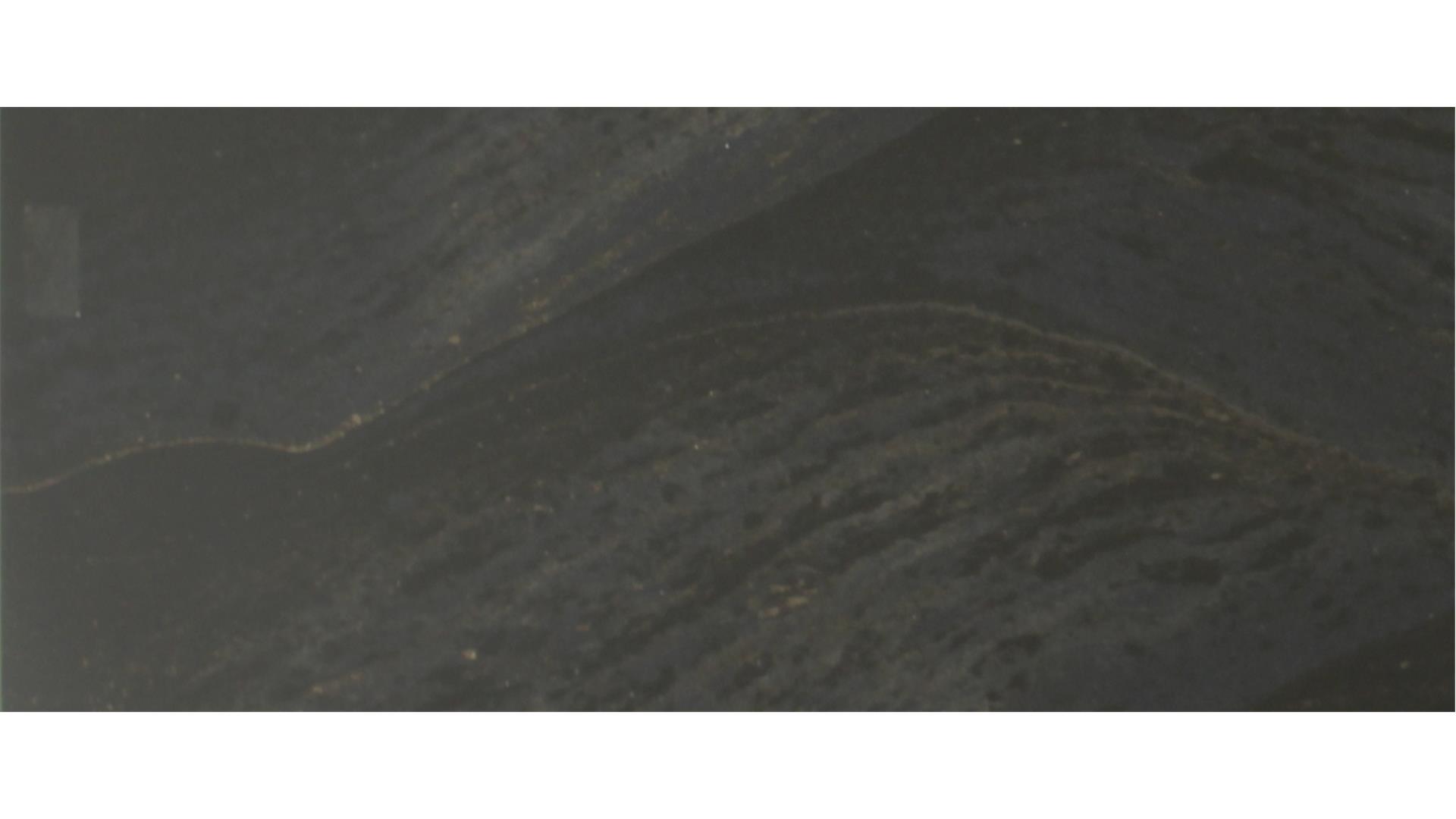 REMINGTON BRASS QUARTZ Slabs