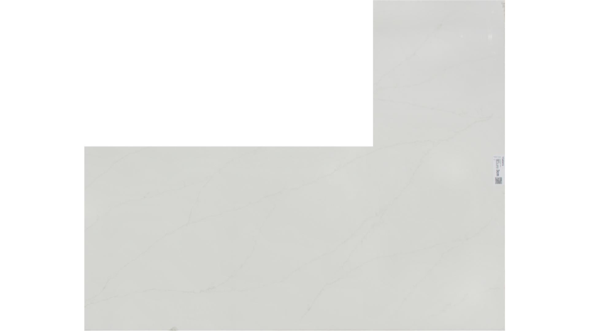 Delicato  QUARTZ Slabs