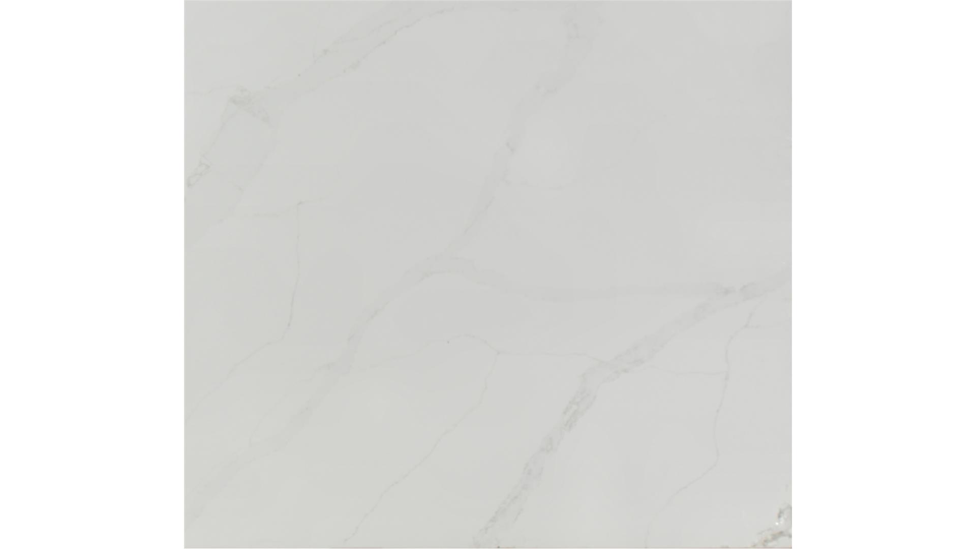 Calacatta Izaro QUARTZ Slabs