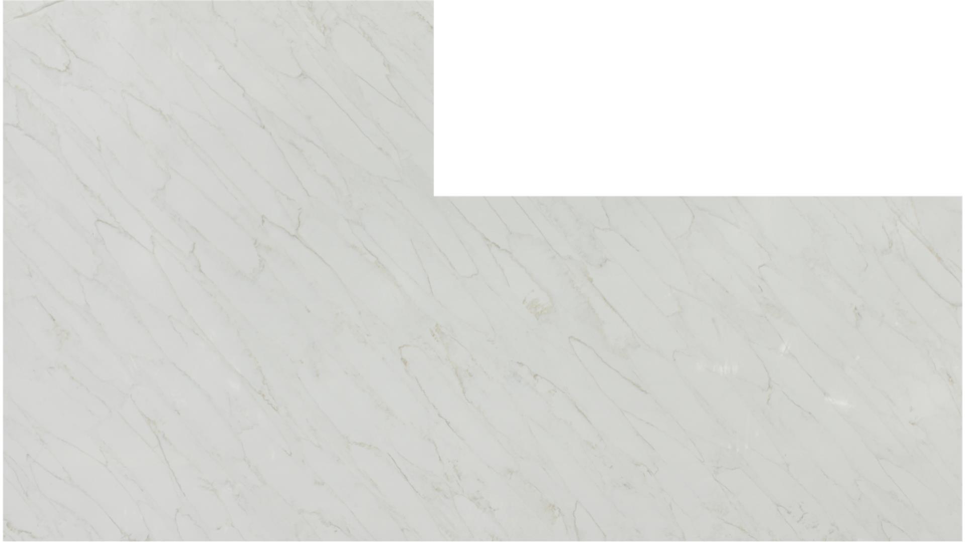 Calacatta Premata QUARTZ Slabs