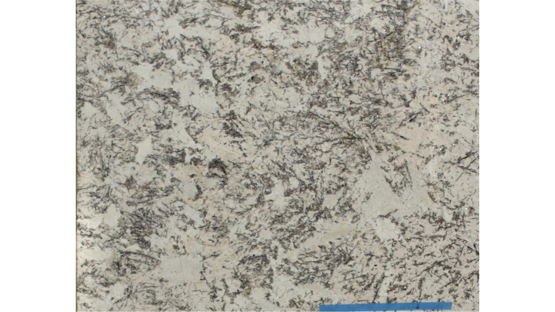 Delicatus White GRANITE Slabs