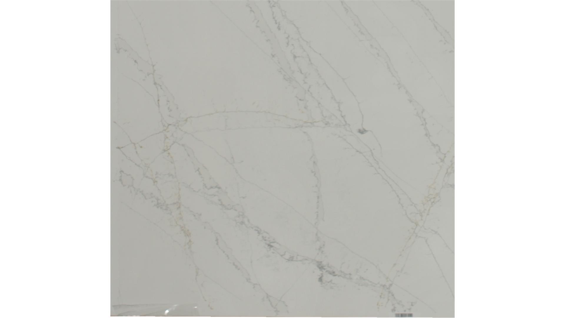 CALACATTA CATHEDRAL QUARTZ Slabs