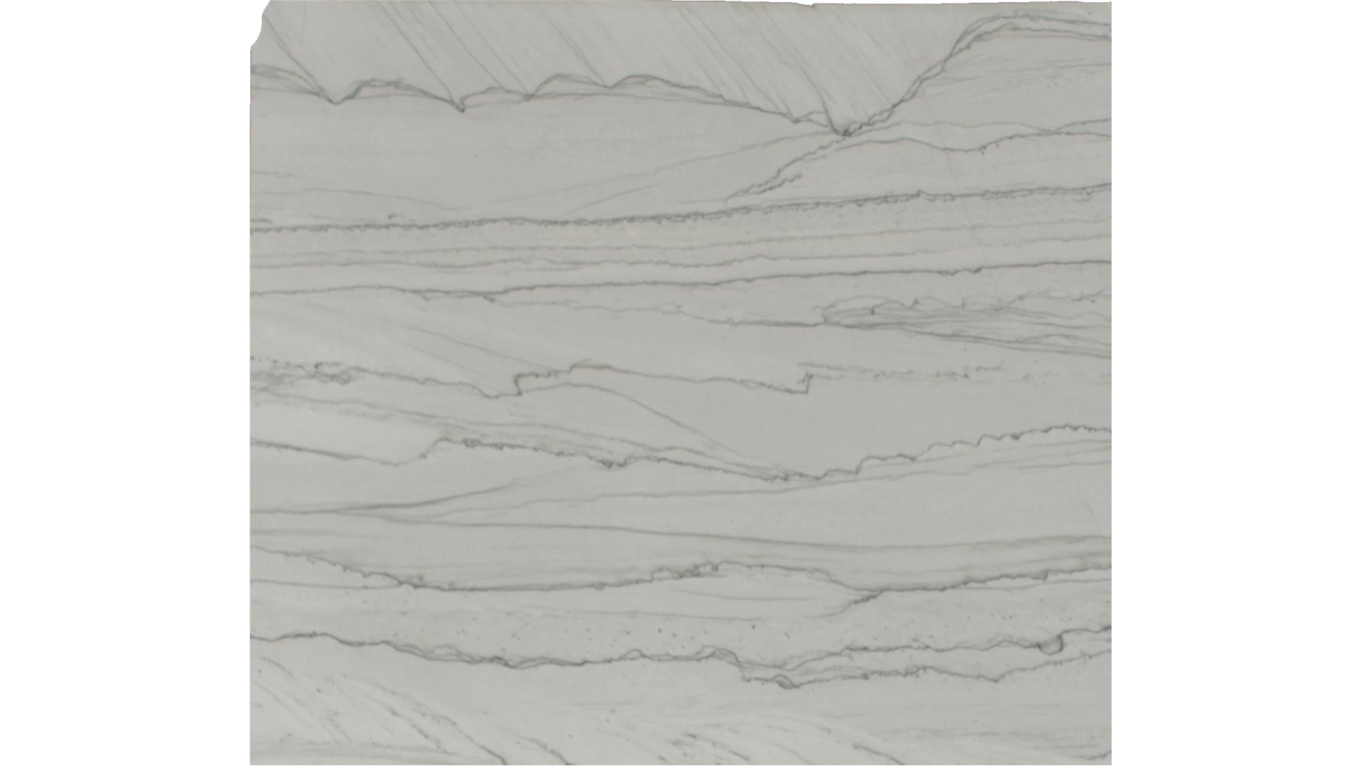 Florida Wave QUARTZITE Slabs