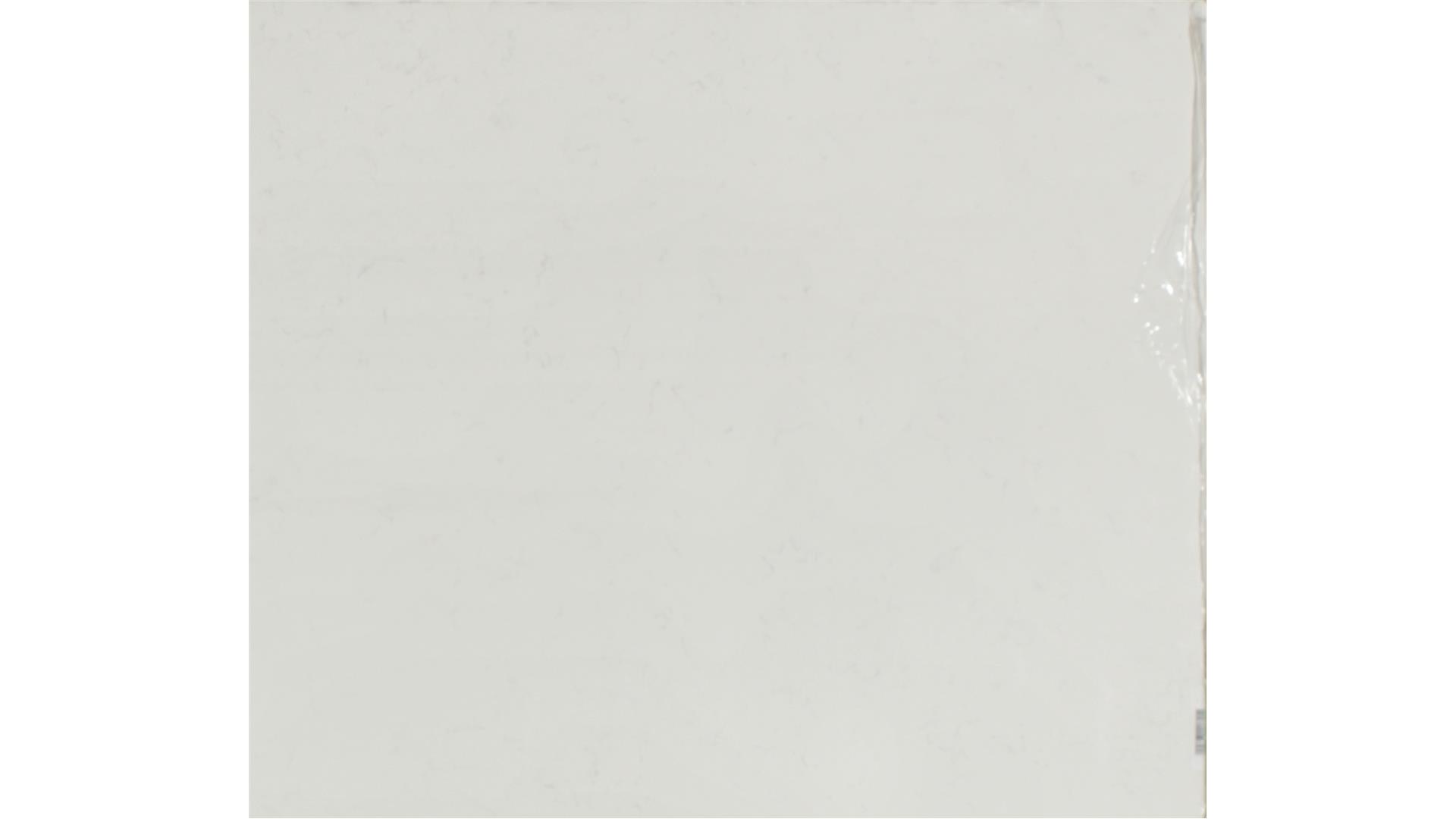 CARRARA PISA QUARTZ Slabs