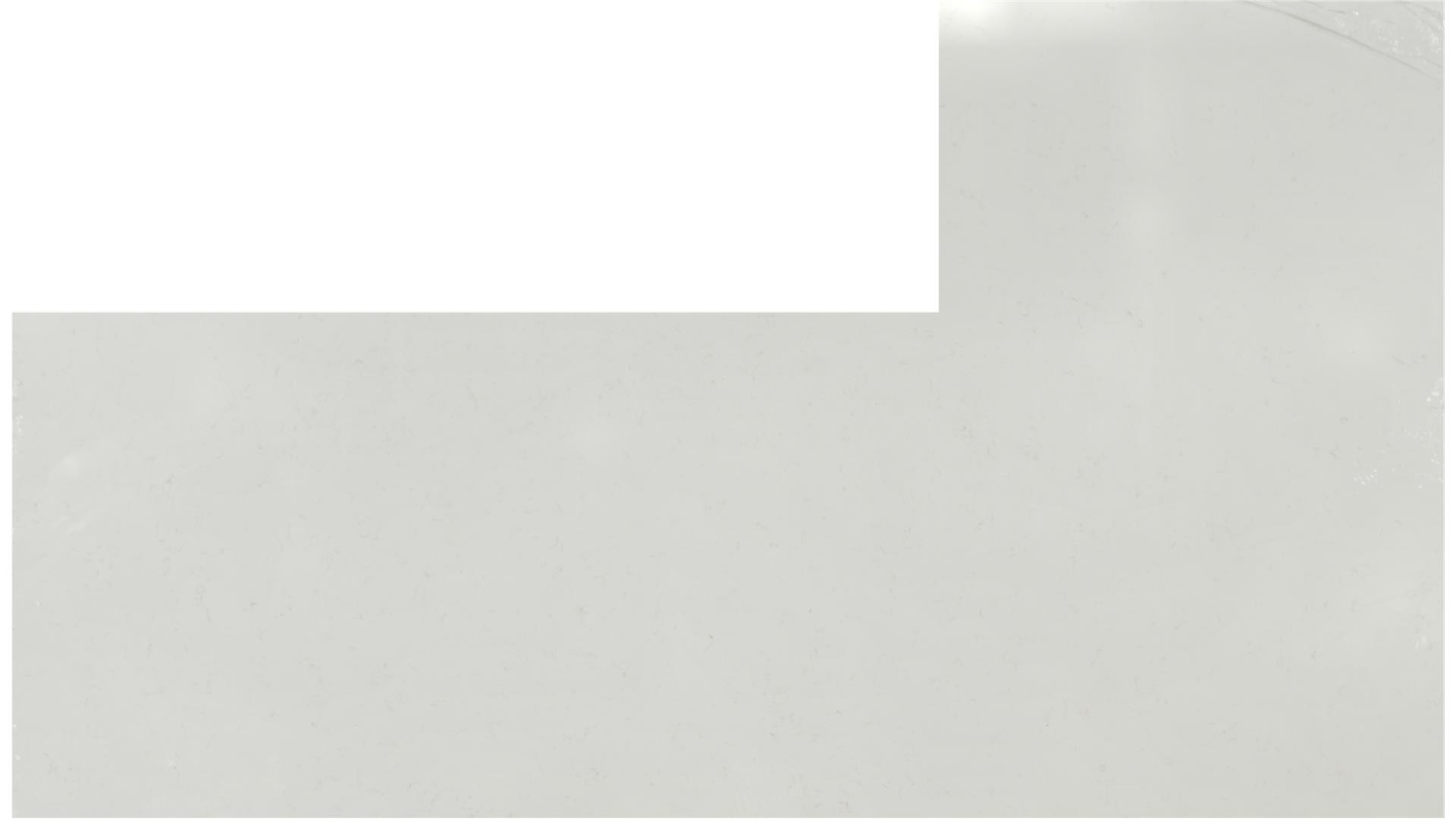 CARRARA ROMA QUARTZ Slabs