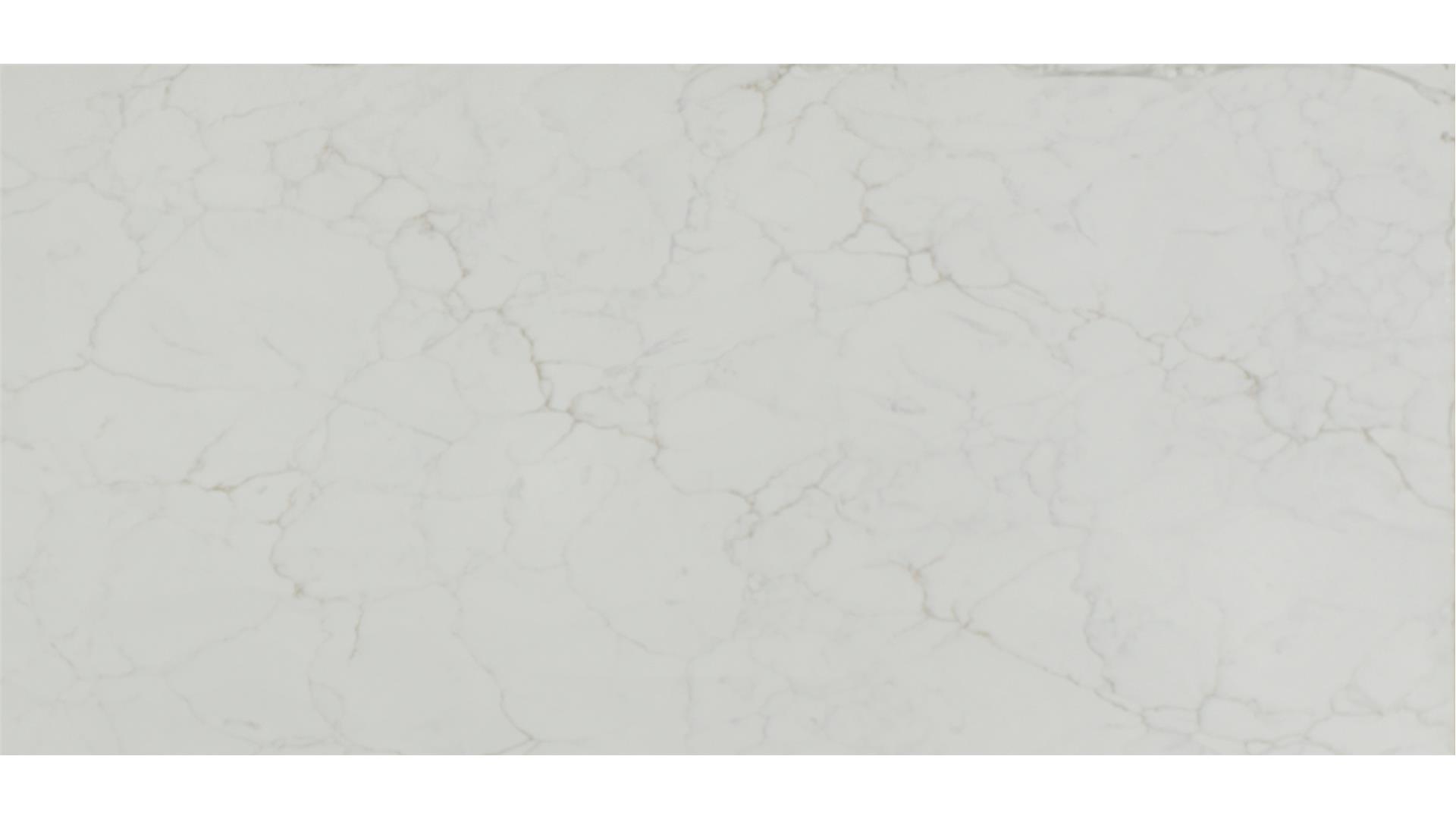 Calacatta Fioressa QUARTZ Slabs