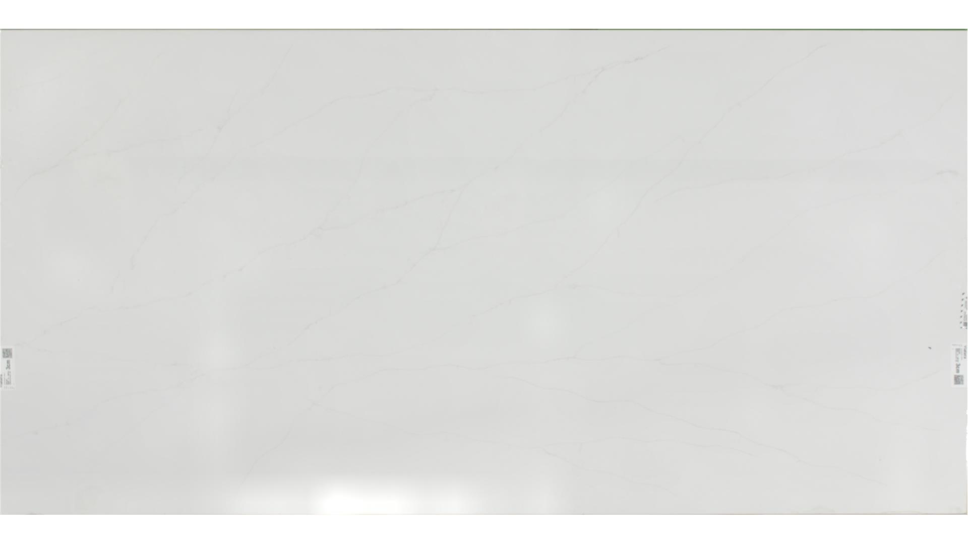 Delicato  QUARTZ Slabs