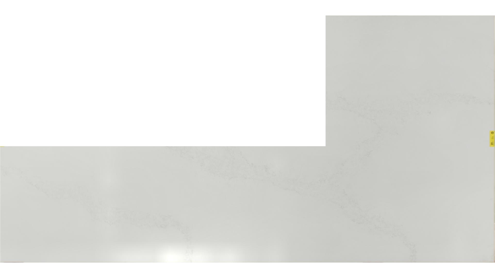 Calacatta Nuvo QUARTZ Slabs