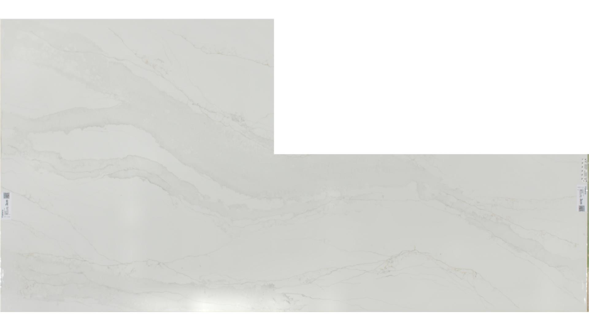 Splendor  QUARTZ Slabs