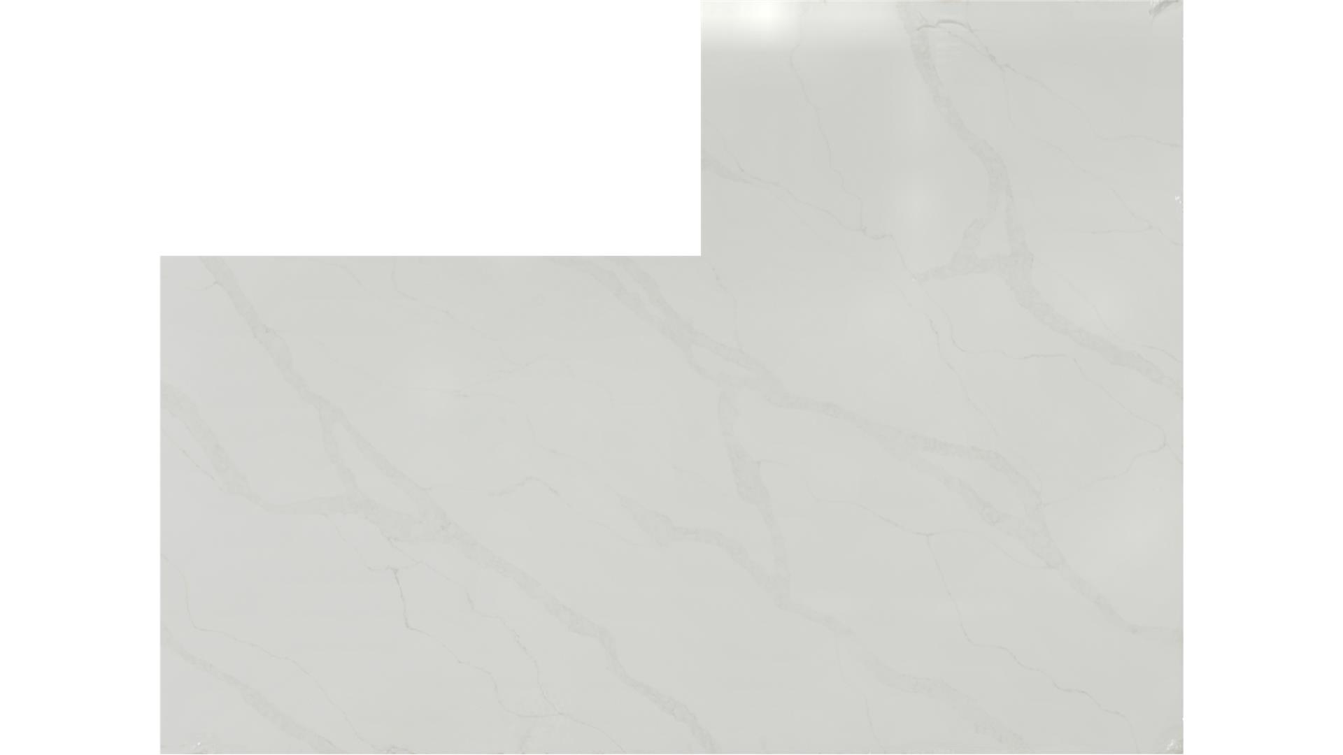 CALACATTA ELYSIO QUARTZ Slabs
