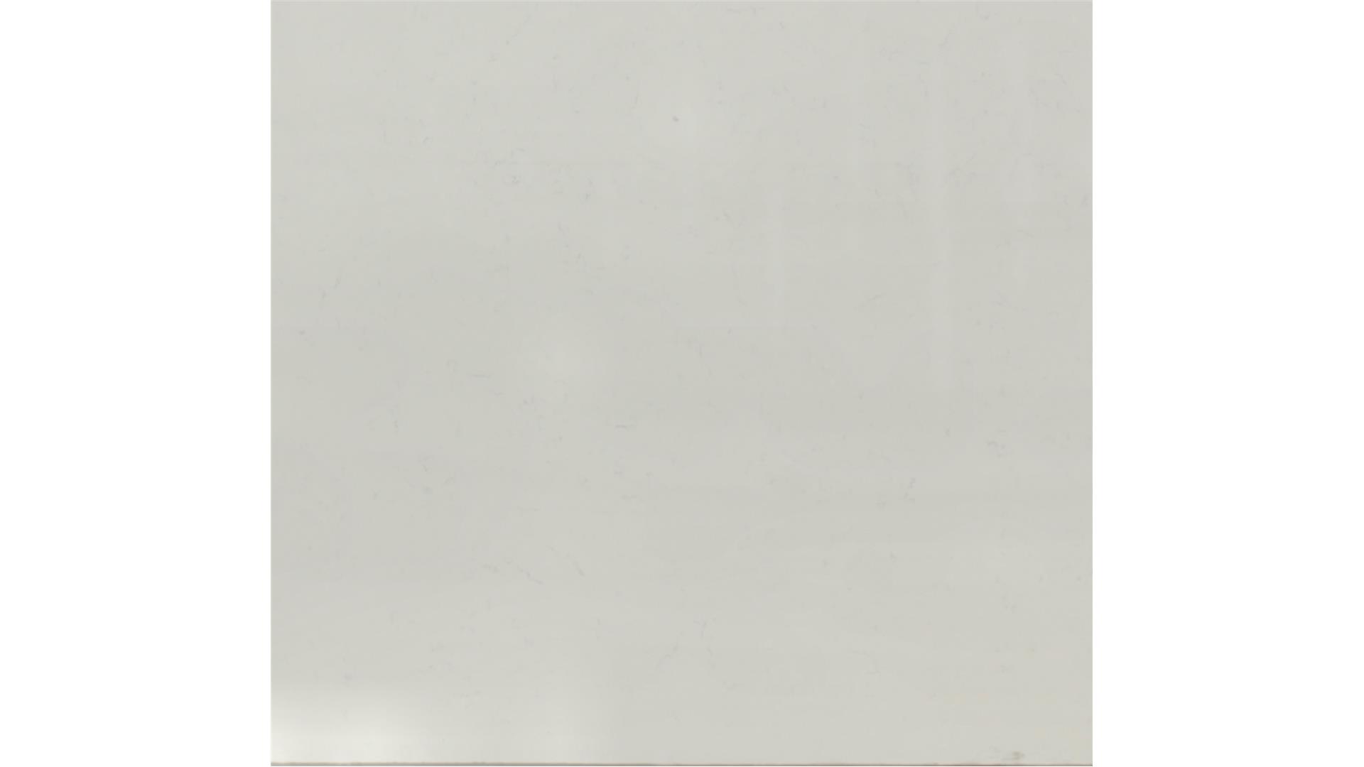 CARRARA PISA QUARTZ Slabs