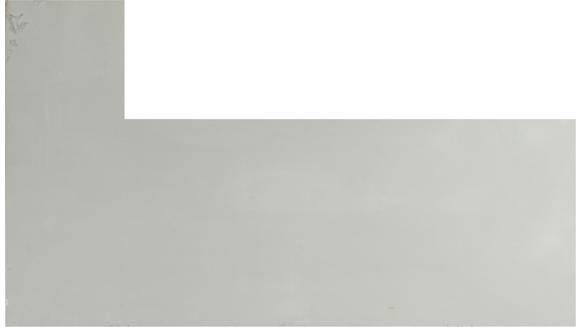 Arctic White QUARTZ Slabs