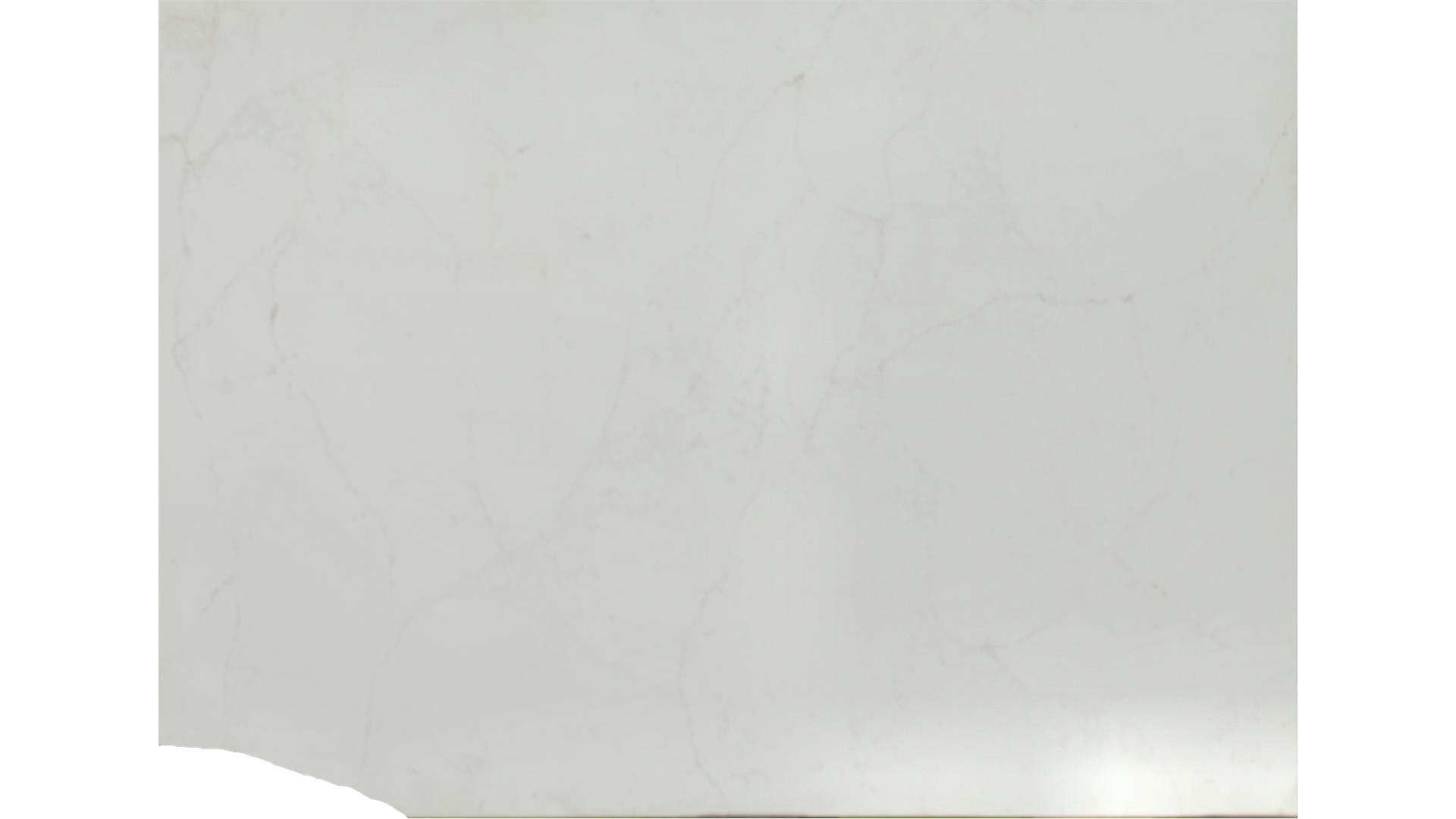 Calacatta Prado QUARTZ Slabs