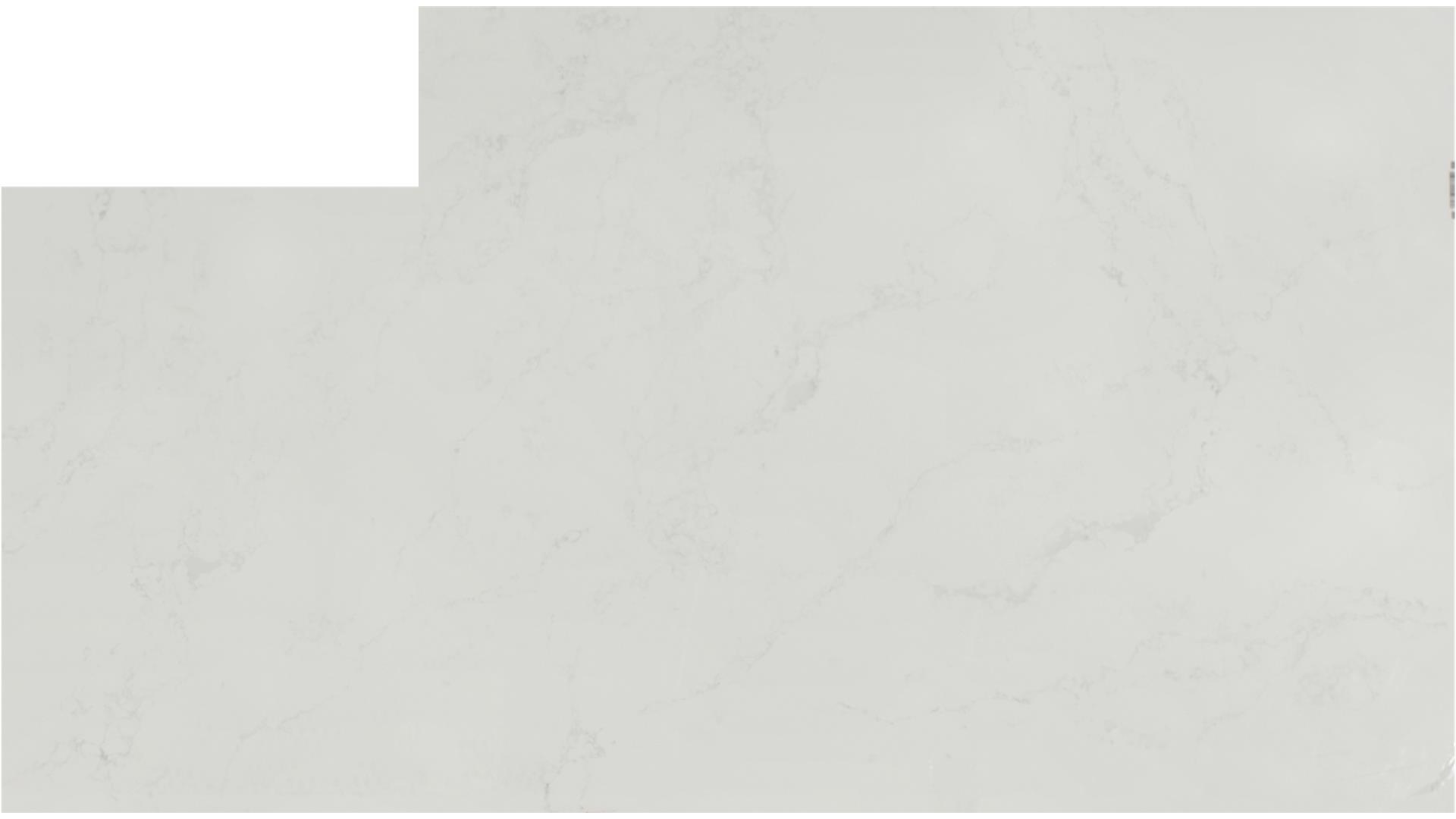 Arabescato Mountain QUARTZ Slabs