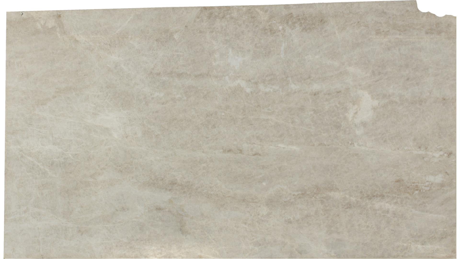 Taj Mahal QUARTZITE Slabs