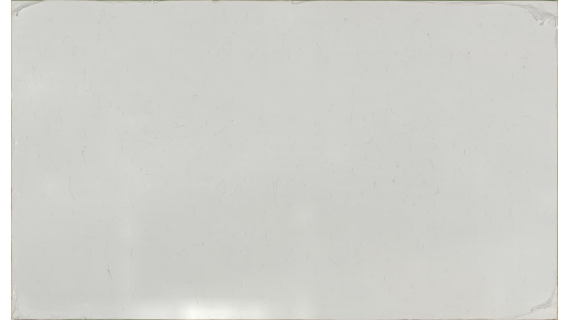 Carrara Morro QUARTZ Slabs