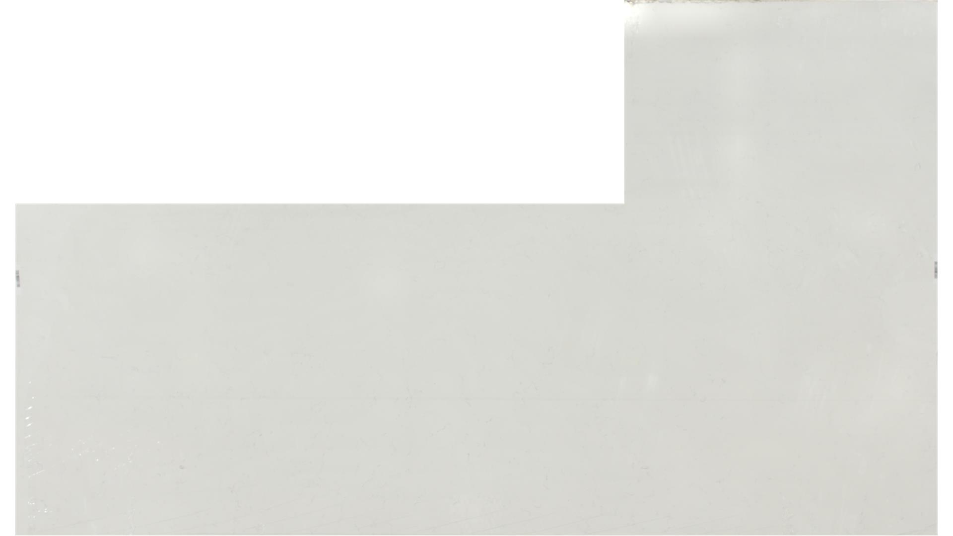 CARRARA PISA QUARTZ Slabs