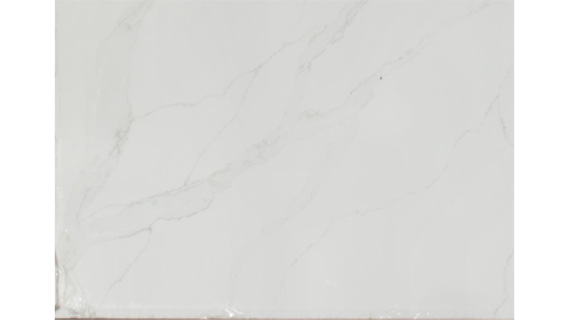 Calacatta Izaro QUARTZ Slabs