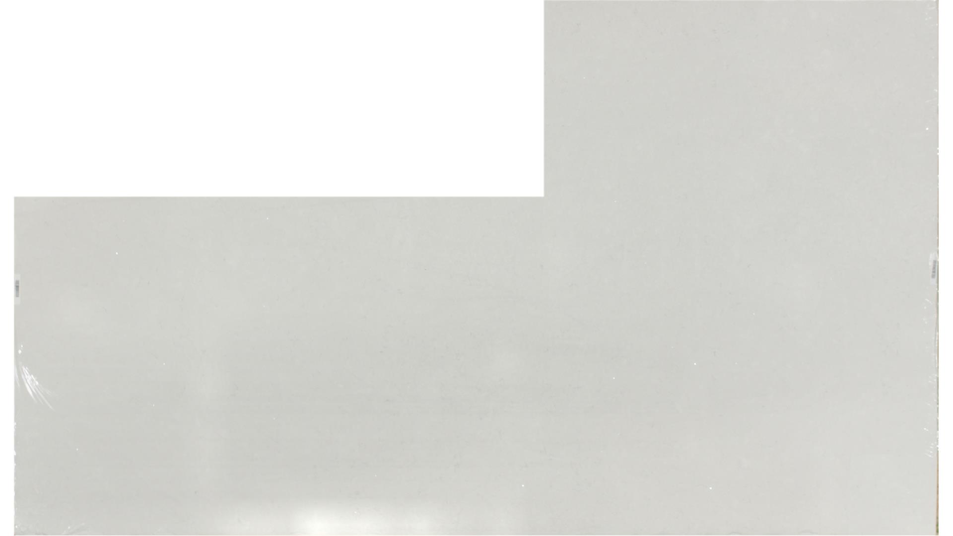 CORONADO WHITE QUARTZ Slabs