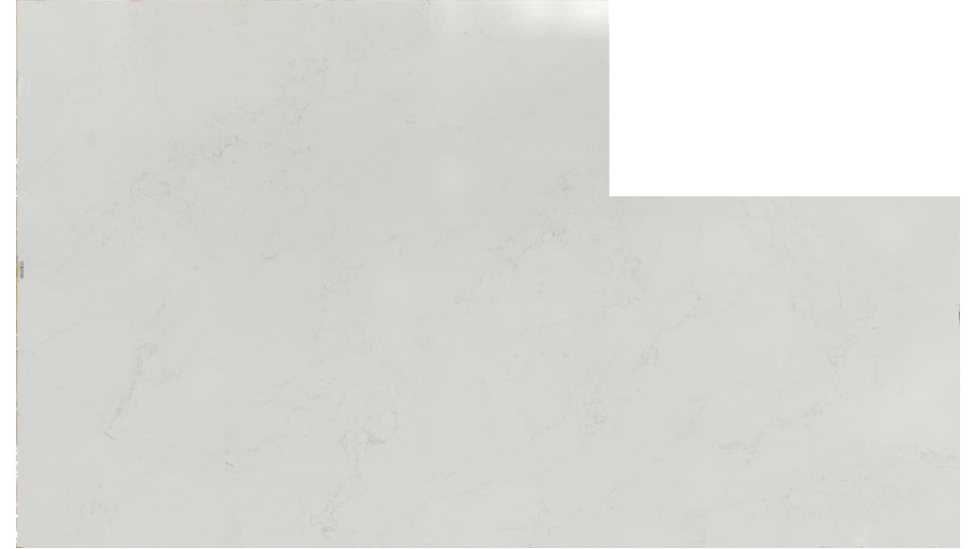 Arabescato Mountain QUARTZ Slabs
