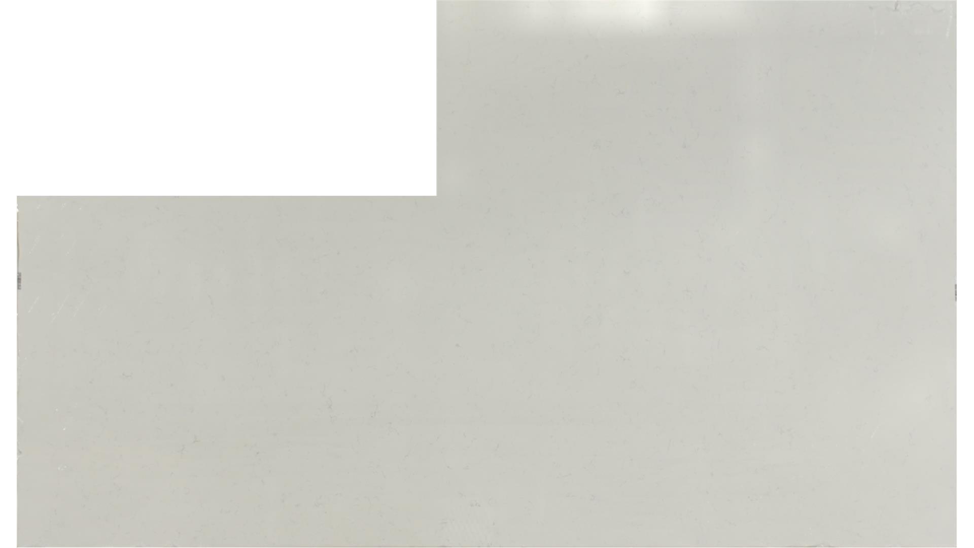 CARRARA PISA QUARTZ Slabs