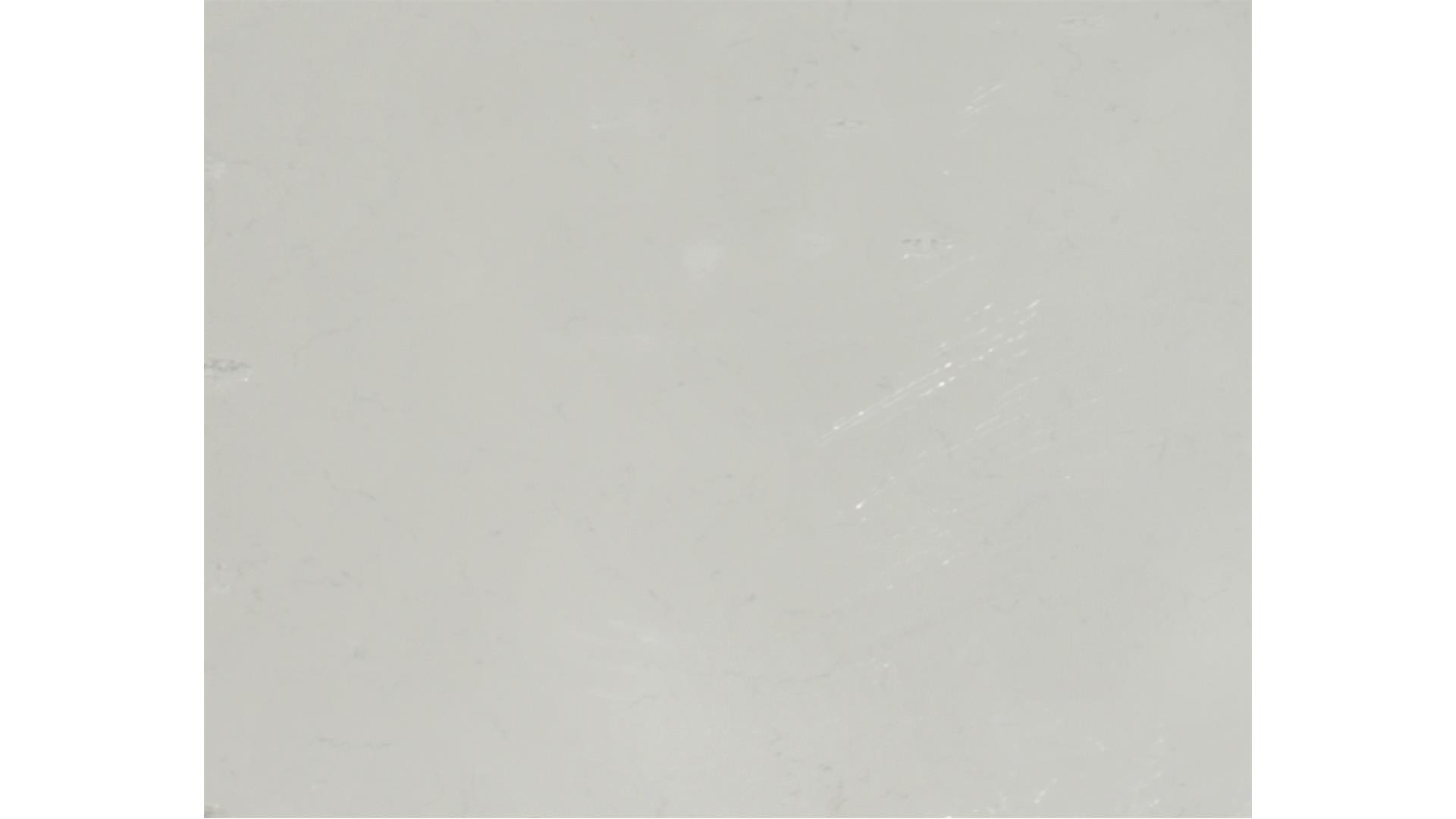 CARRARA PISA QUARTZ Slabs