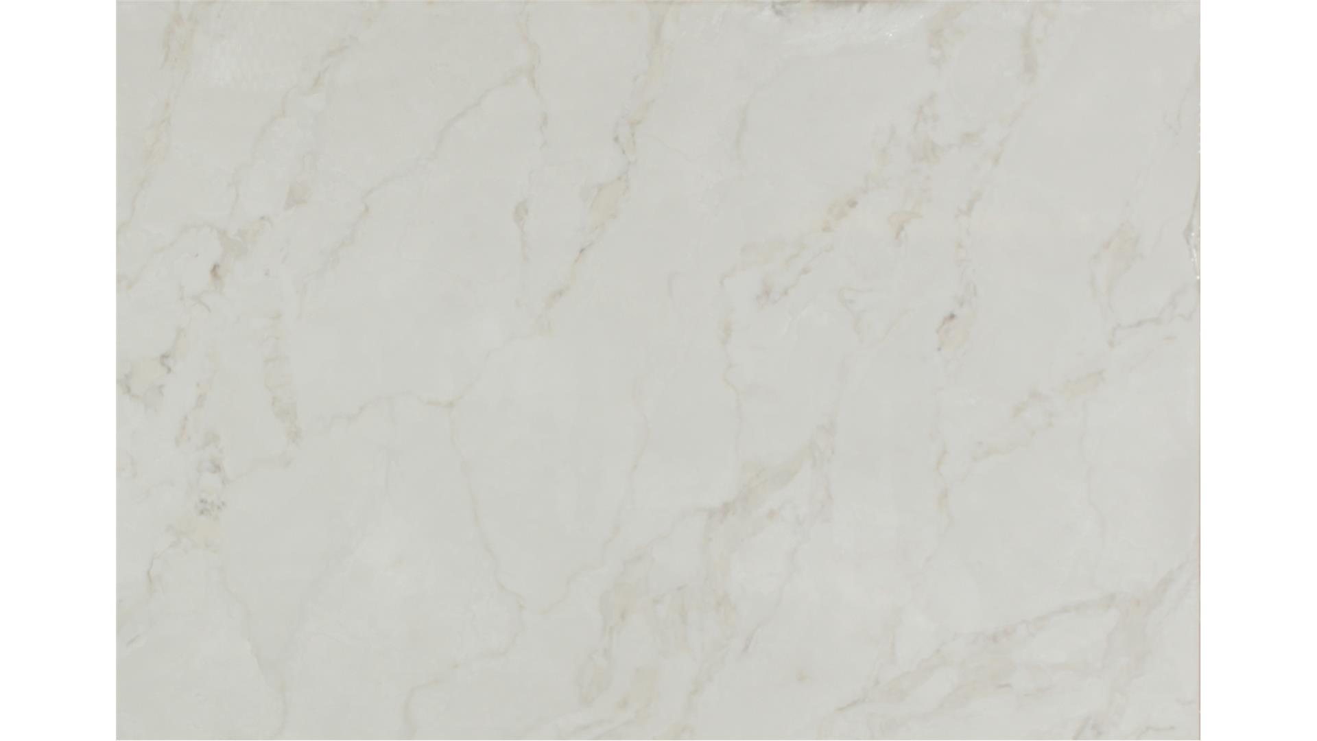 Calacatta Aravine QUARTZ Slabs
