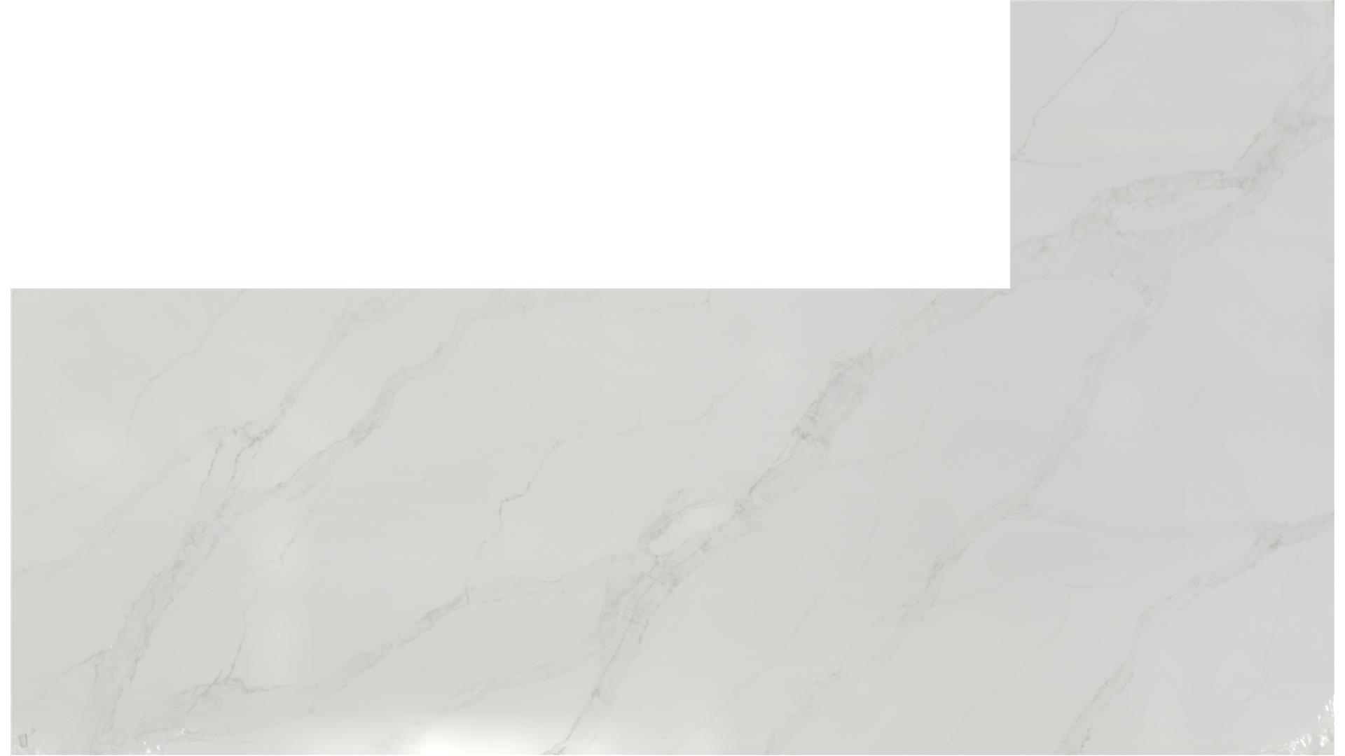 Calacatta Izaro QUARTZ Slabs
