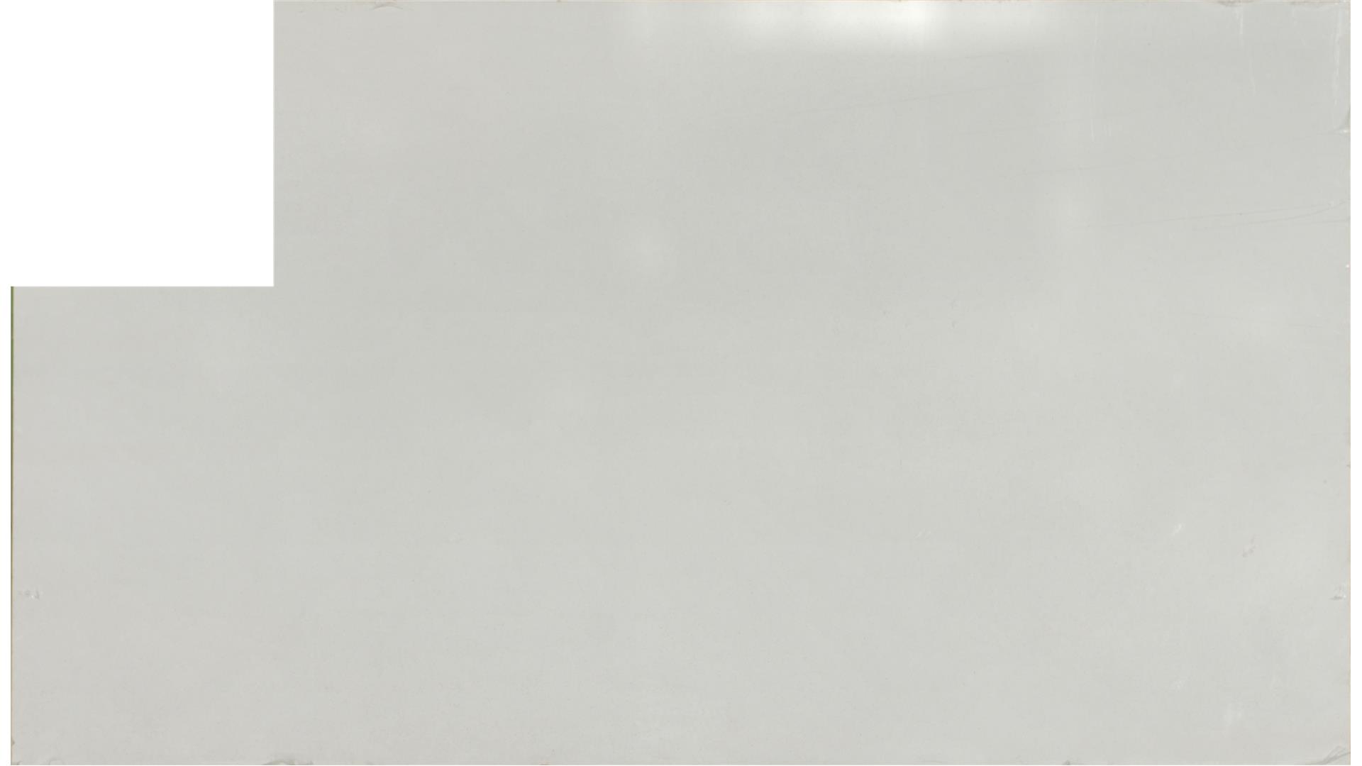 Frost White QUARTZ Slabs