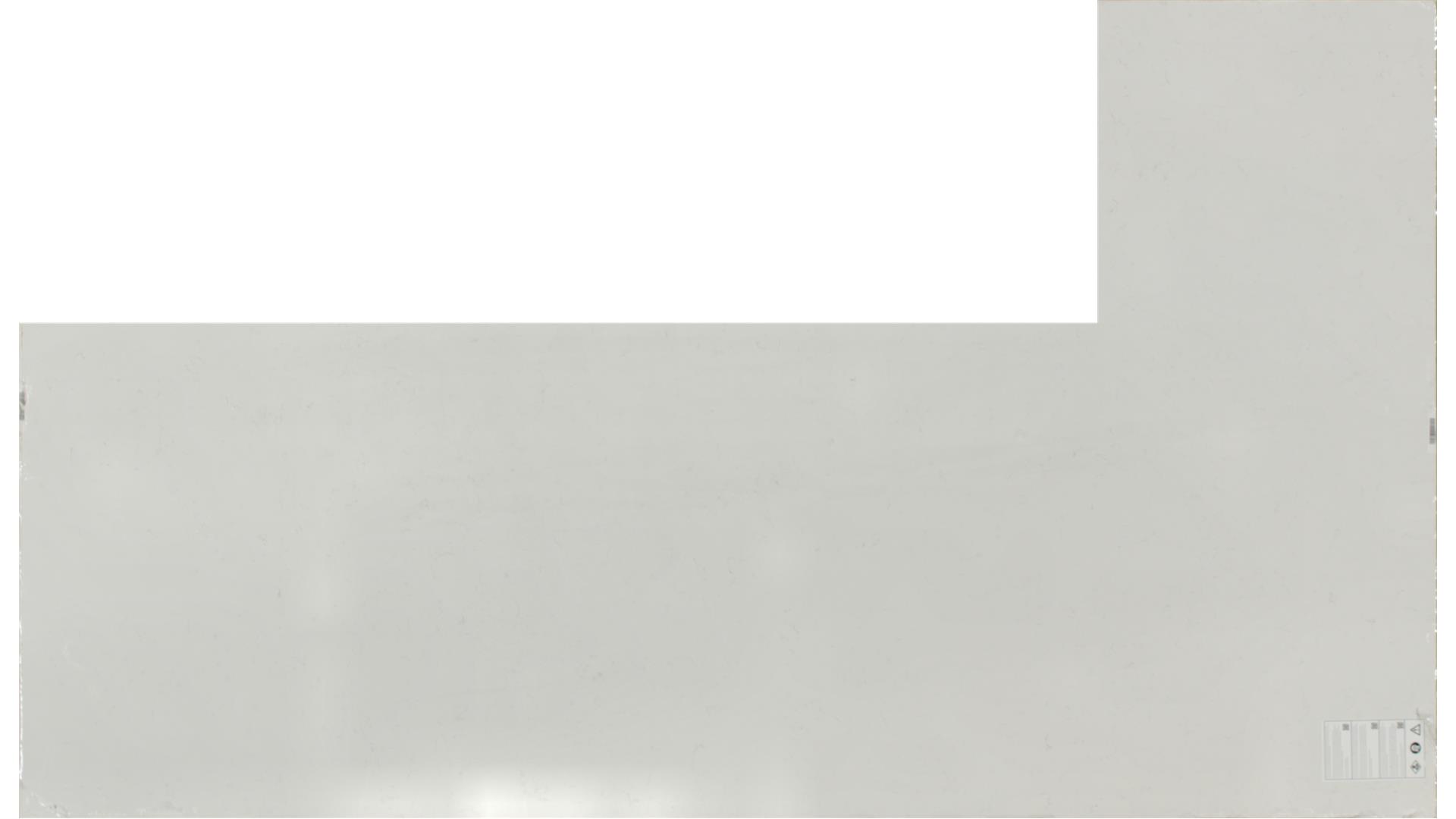 CARRARA PISA QUARTZ Slabs