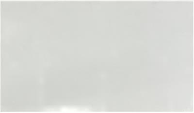 Arctic White QUARTZ