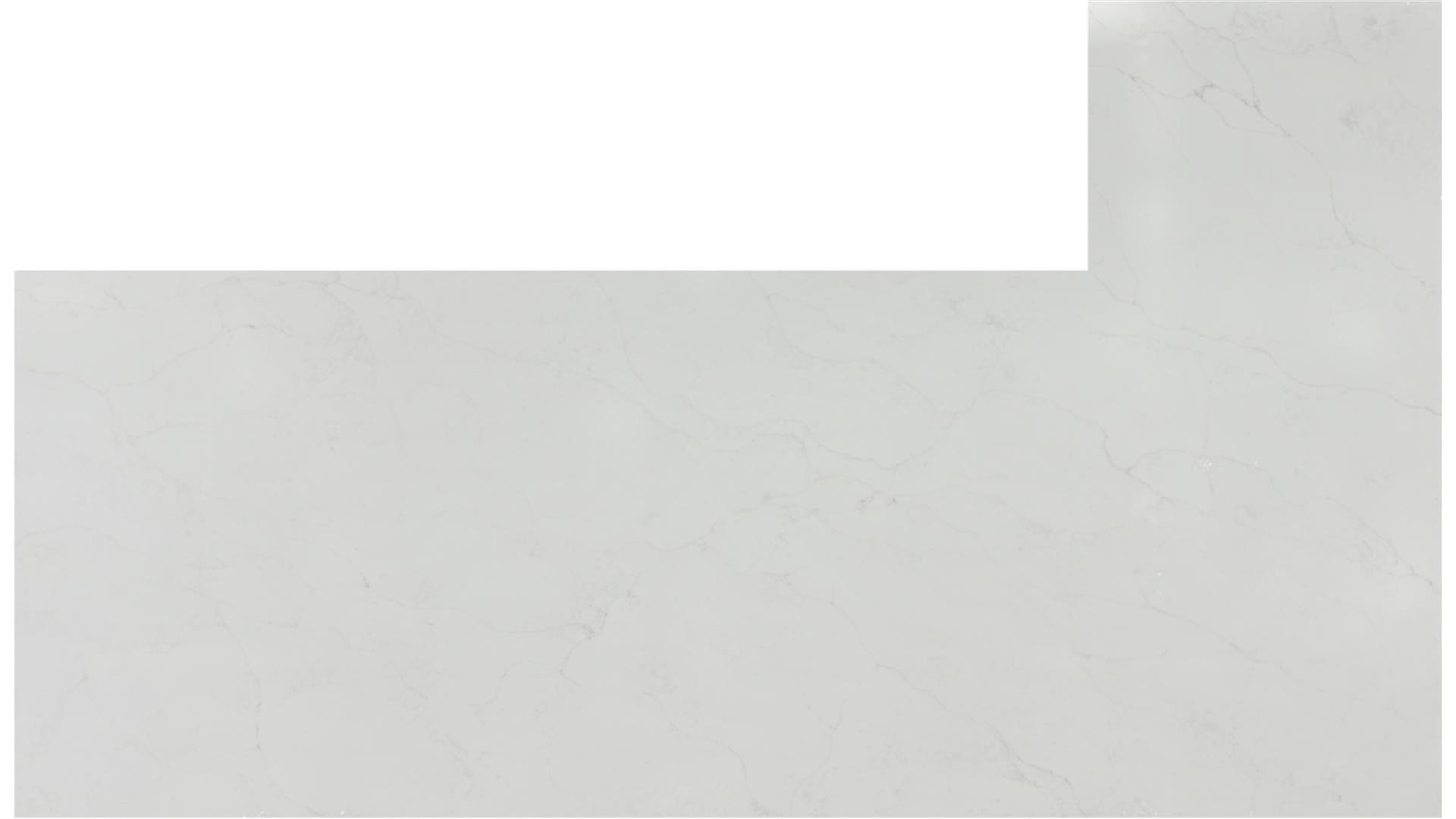 Calacatta Prado QUARTZ Slabs